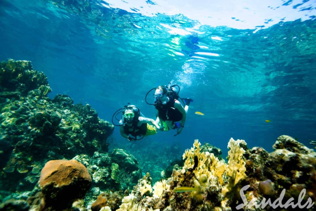 Is the Honeymoon Over for All-inclusive Resorts? 3 Montego Bay scuba diving