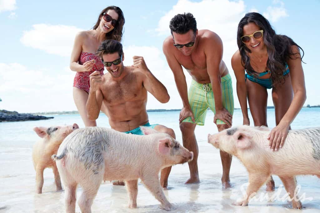Pig Island at Sandals Emerald Bay