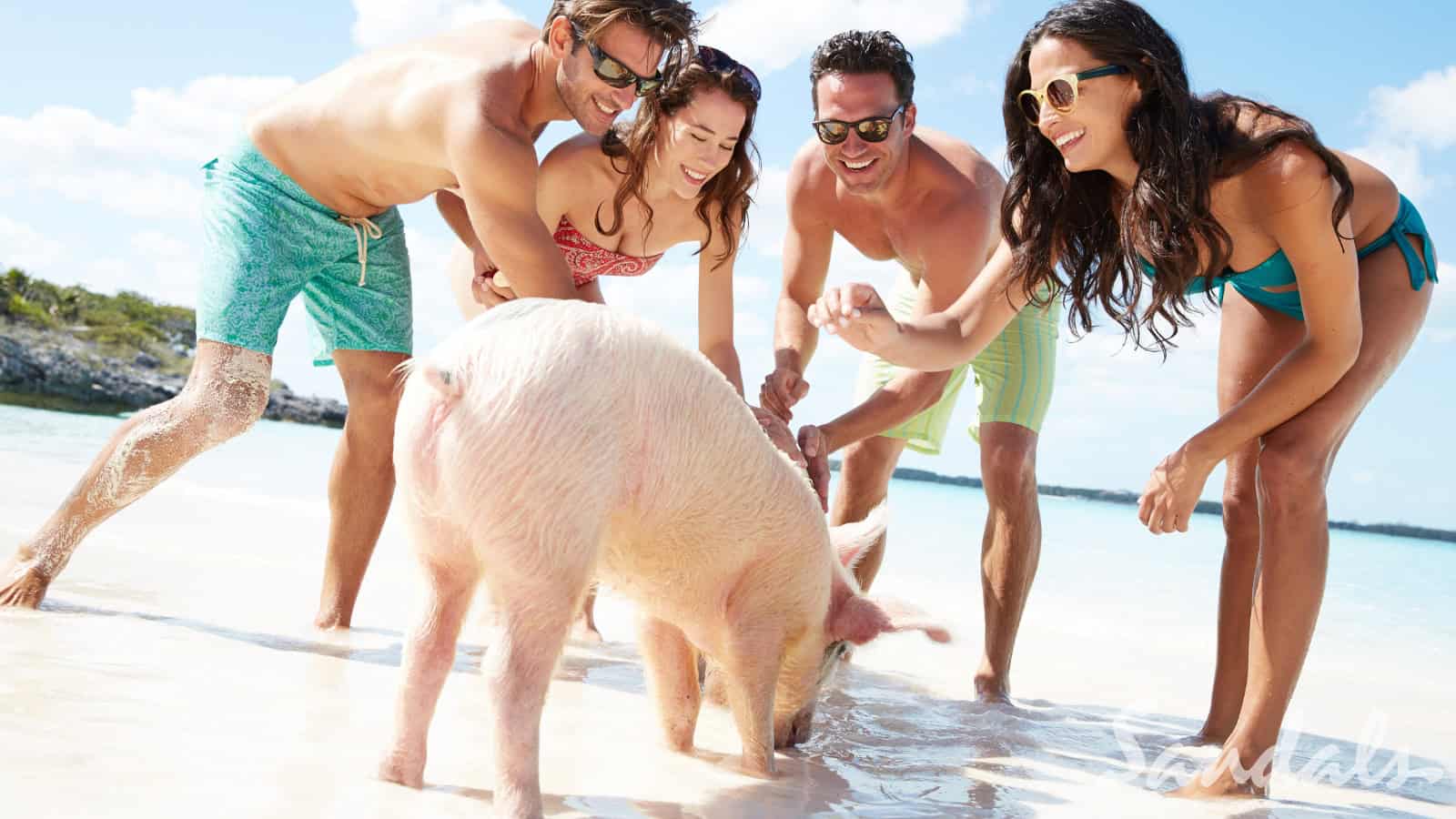 The Hidden Costs of ‘All-inclusive’ Resorts—7 Things to Know 7 Pig Island