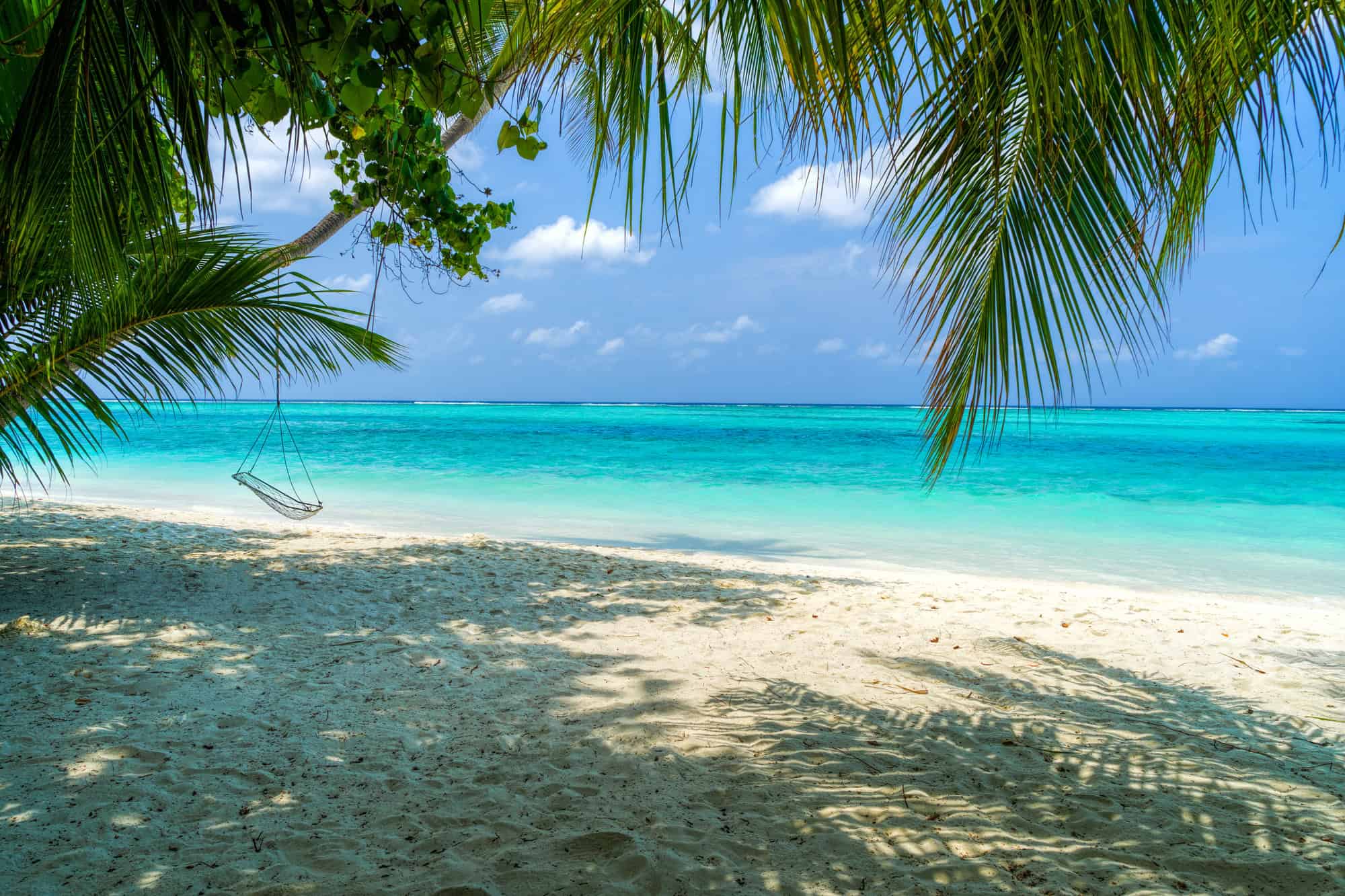 Surprising Facts about Adults-Only All-Inclusive Resort Amenities