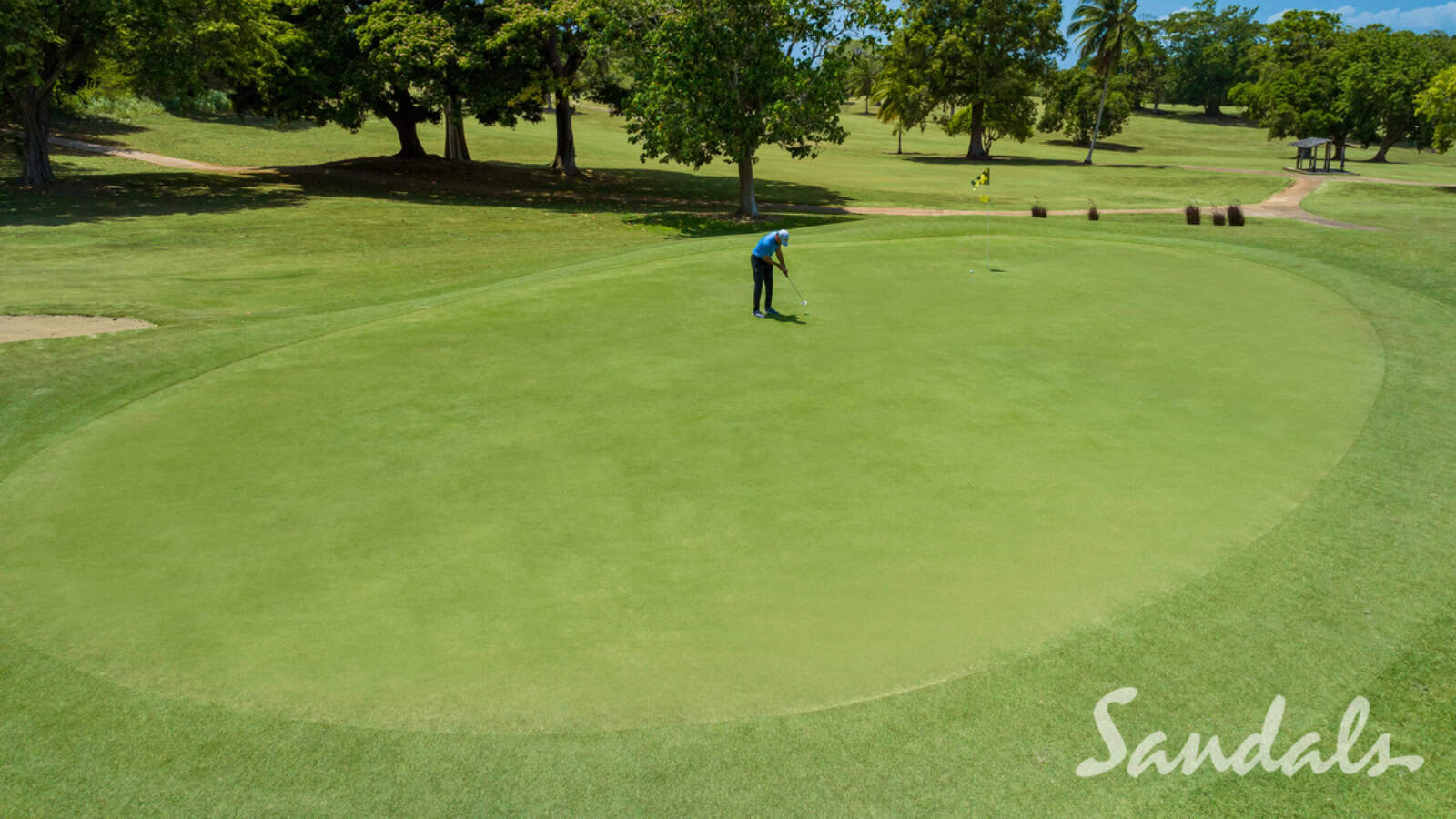 Cruise vs All-Inclusive Resort for Honeymoon Bliss: A Guide 17 golf at Sandals Dunn's River