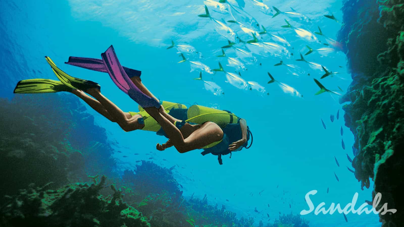The Hidden Costs of ‘All-inclusive’ Resorts—7 Things to Know 5 scuba diving