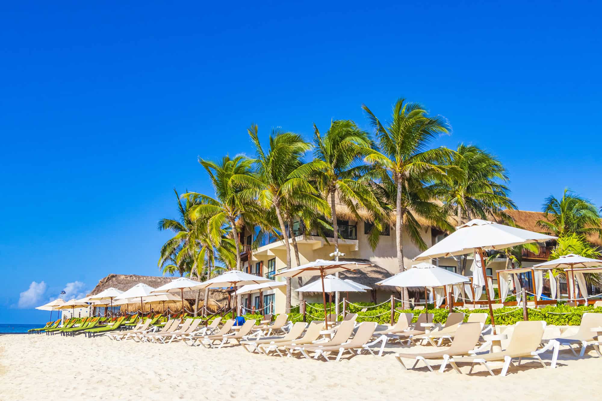 The Hidden Downside to Ignoring the Resort’s Fine Print 3 Palm trees parasols umbrellas and sun loungers at the reef coco beach resort on tropical mexican beach in Playa del Carmen Mexico.