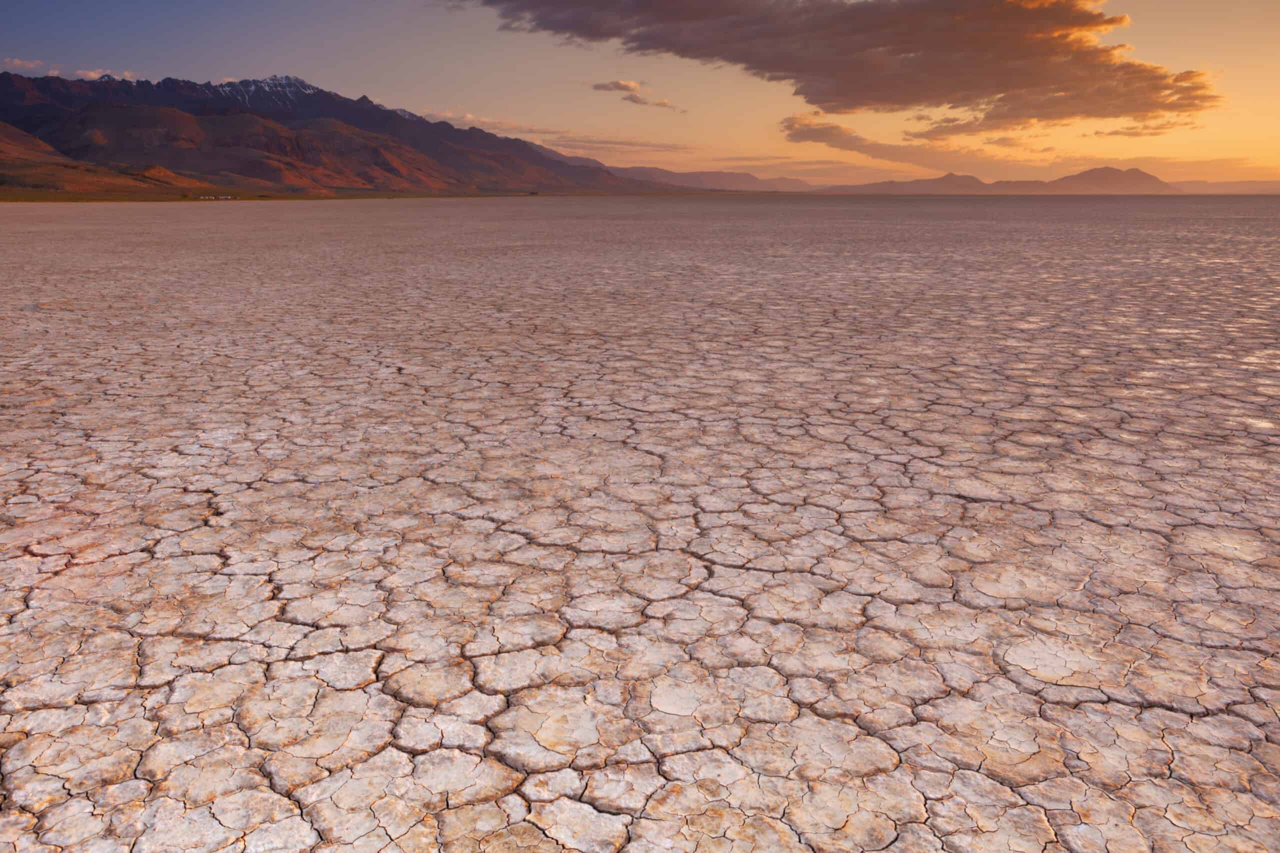 From Pink Dunes to Dancing Rocks: America's Most Surprising Desert Escapes 3 Alvord Desert scaled