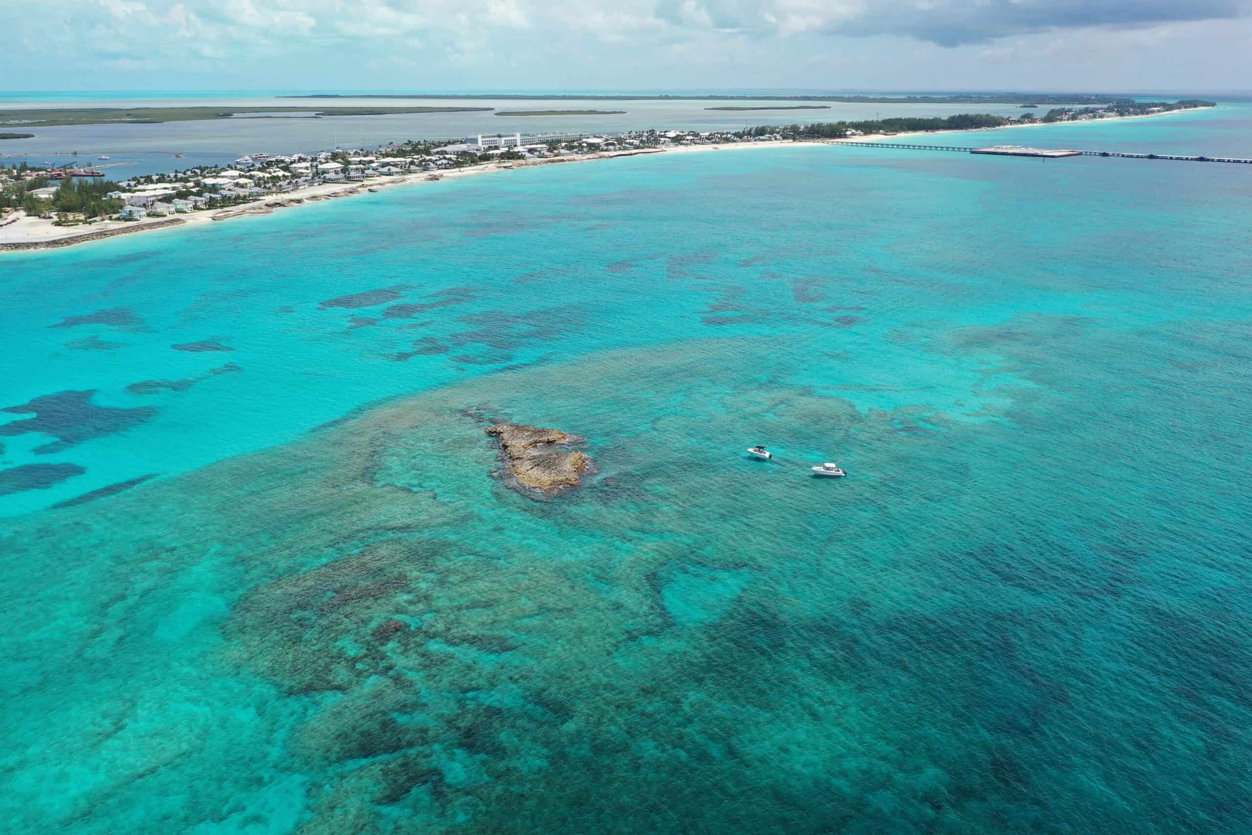 12 Places Around the World Where You Can Swim with Dolphins 2 Bimini Bahamas scaled