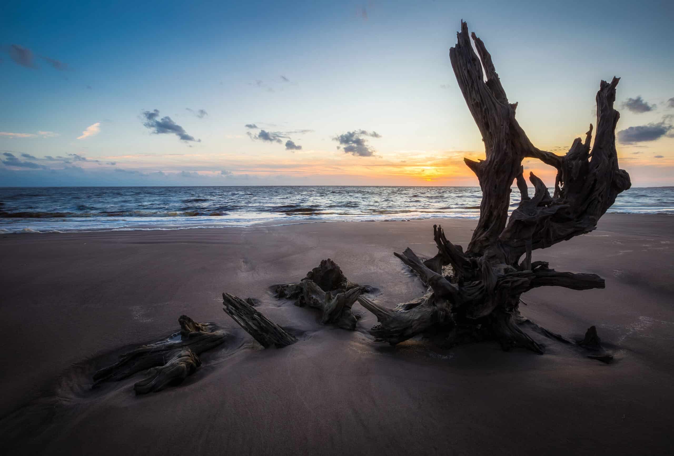 Escape the Crowds: 15 Lesser-Known U.S. Beaches Worth Visiting 5 Boneyard Beach, Florida