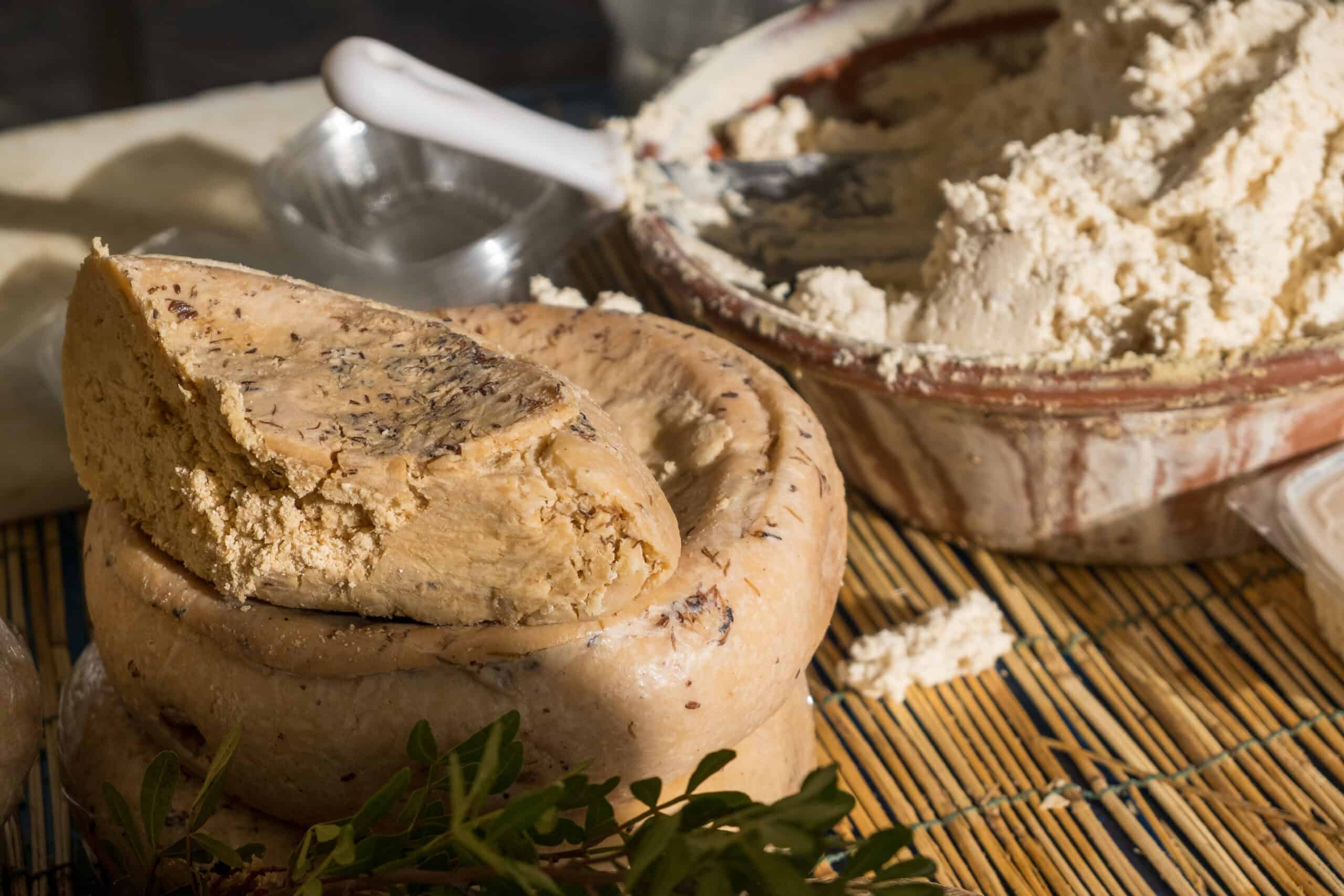Venturing into the Unknown: 20 Bizarre Foods Around the World 1 Casu Marzu