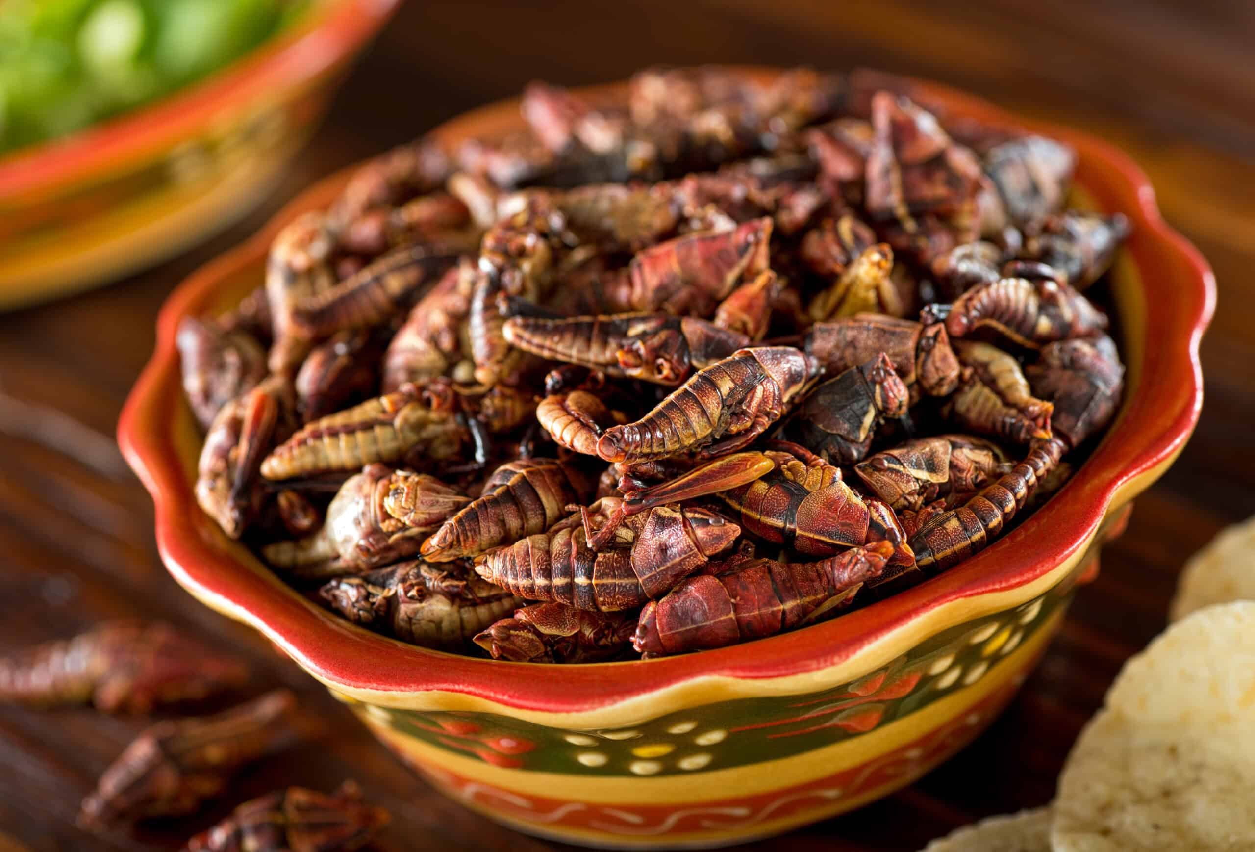 Venturing into the Unknown: 20 Bizarre Foods Around the World 18 Chapulines