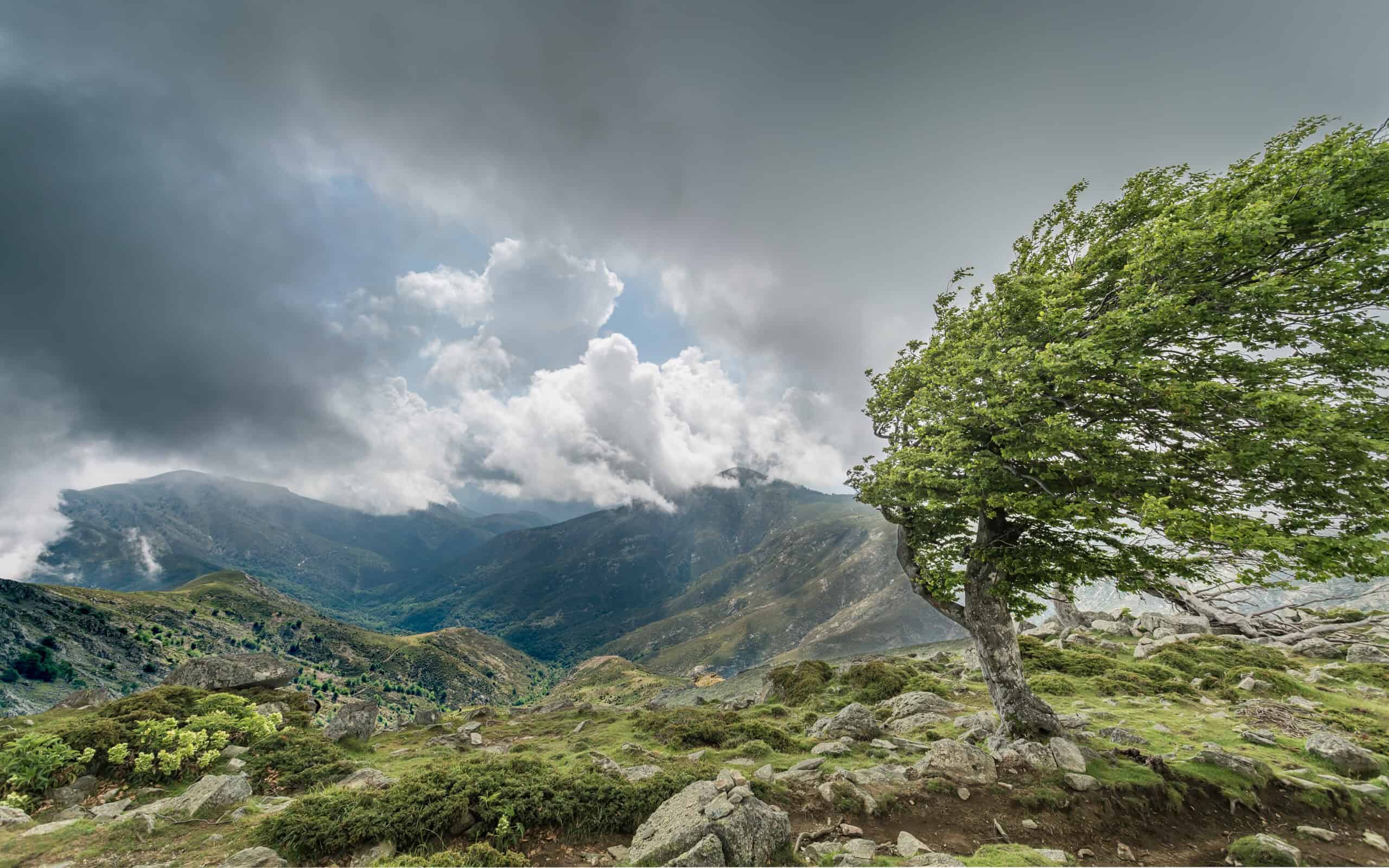 20 Spectacular Hikes Around the World to Conquer This Summer 14 GR20, Corsica, France