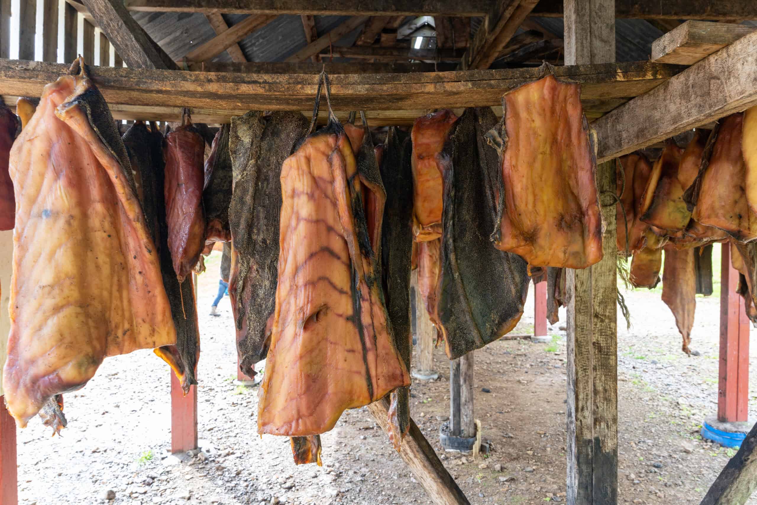 Venturing into the Unknown: 20 Bizarre Foods Around the World 2 Hákarl
