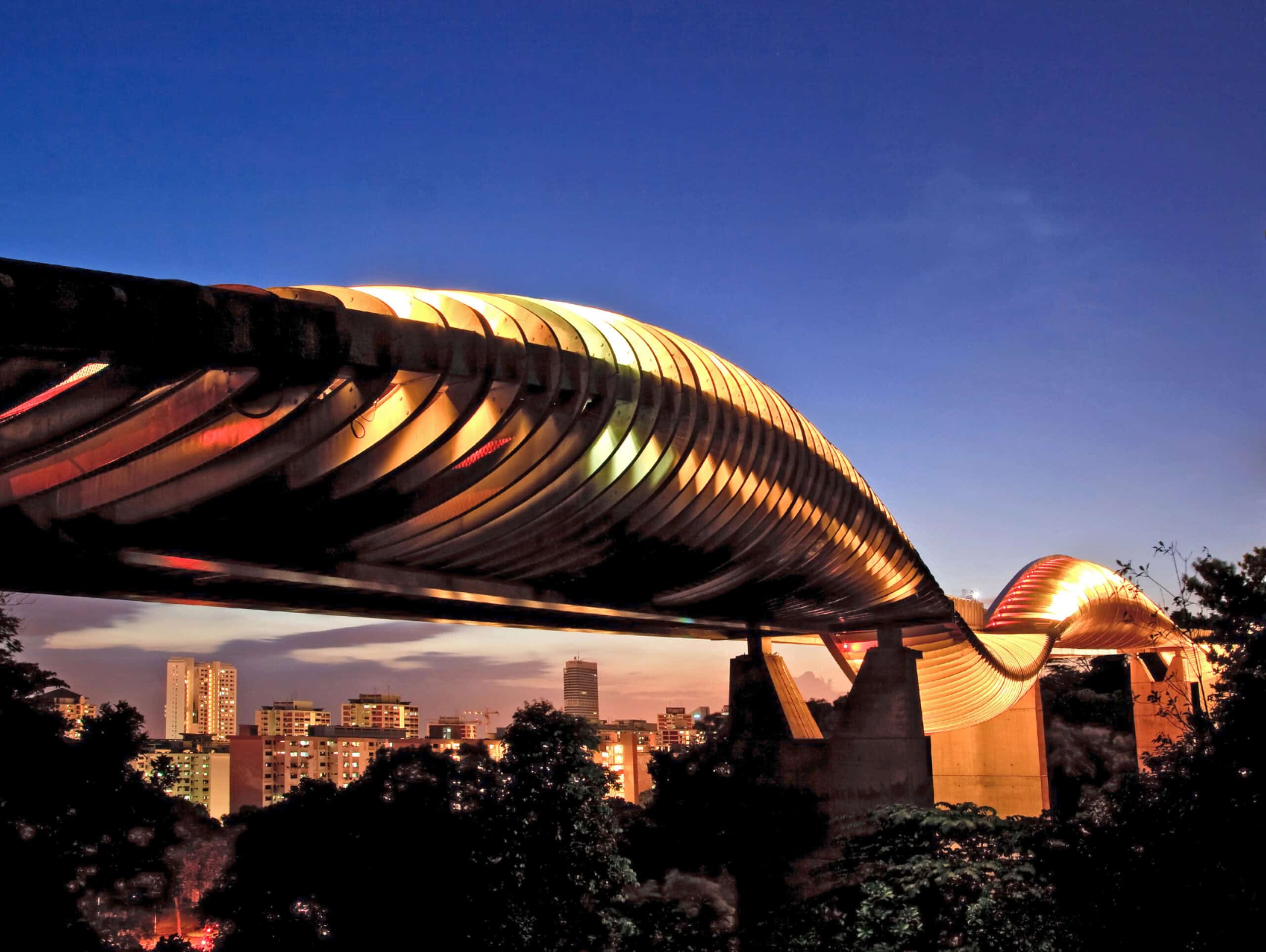 Henderson Waves Bridge, Singapore