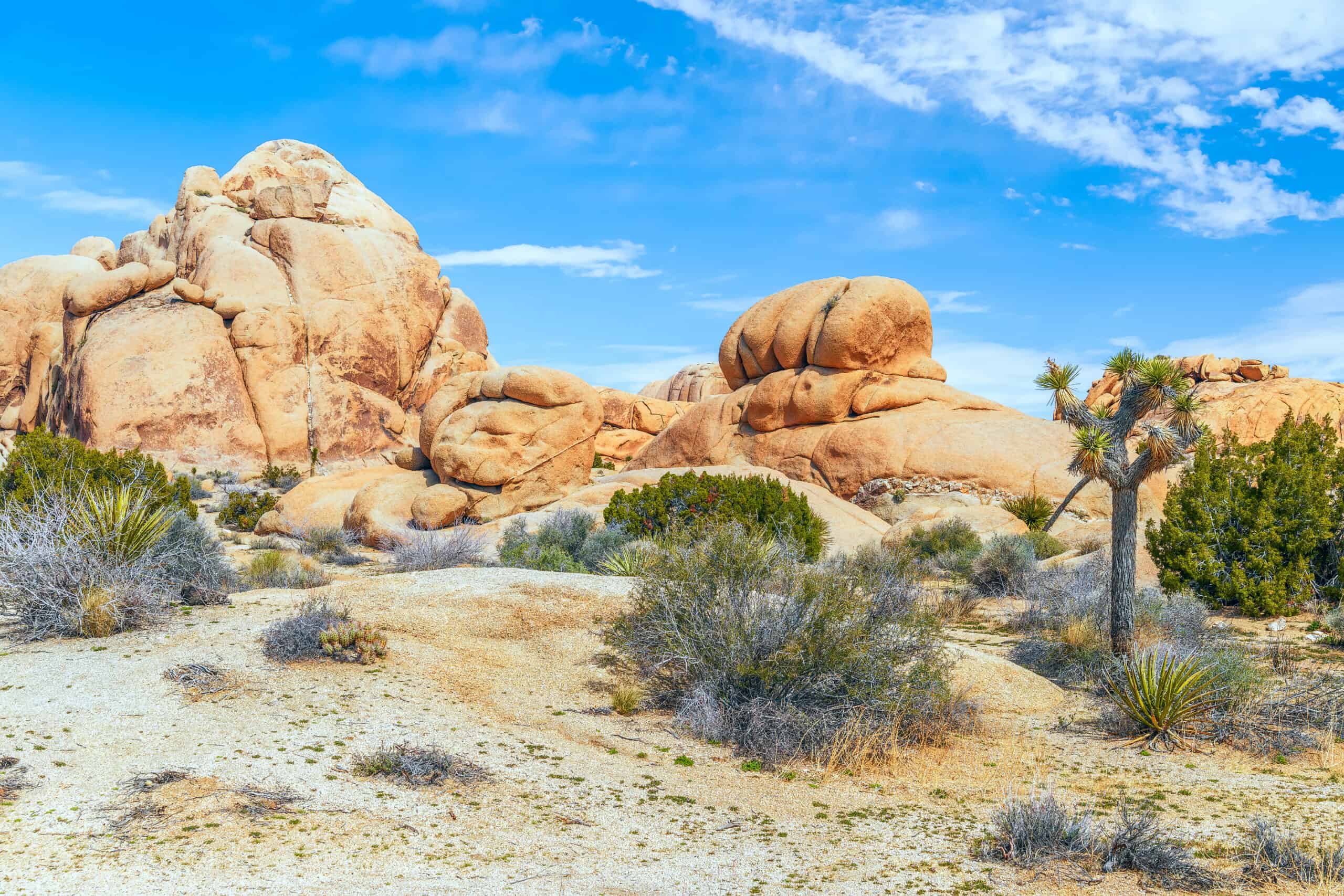 16 Best Adventure Travel Spots in the USA 11 Rock Climbing in Joshua Tree National Park, California