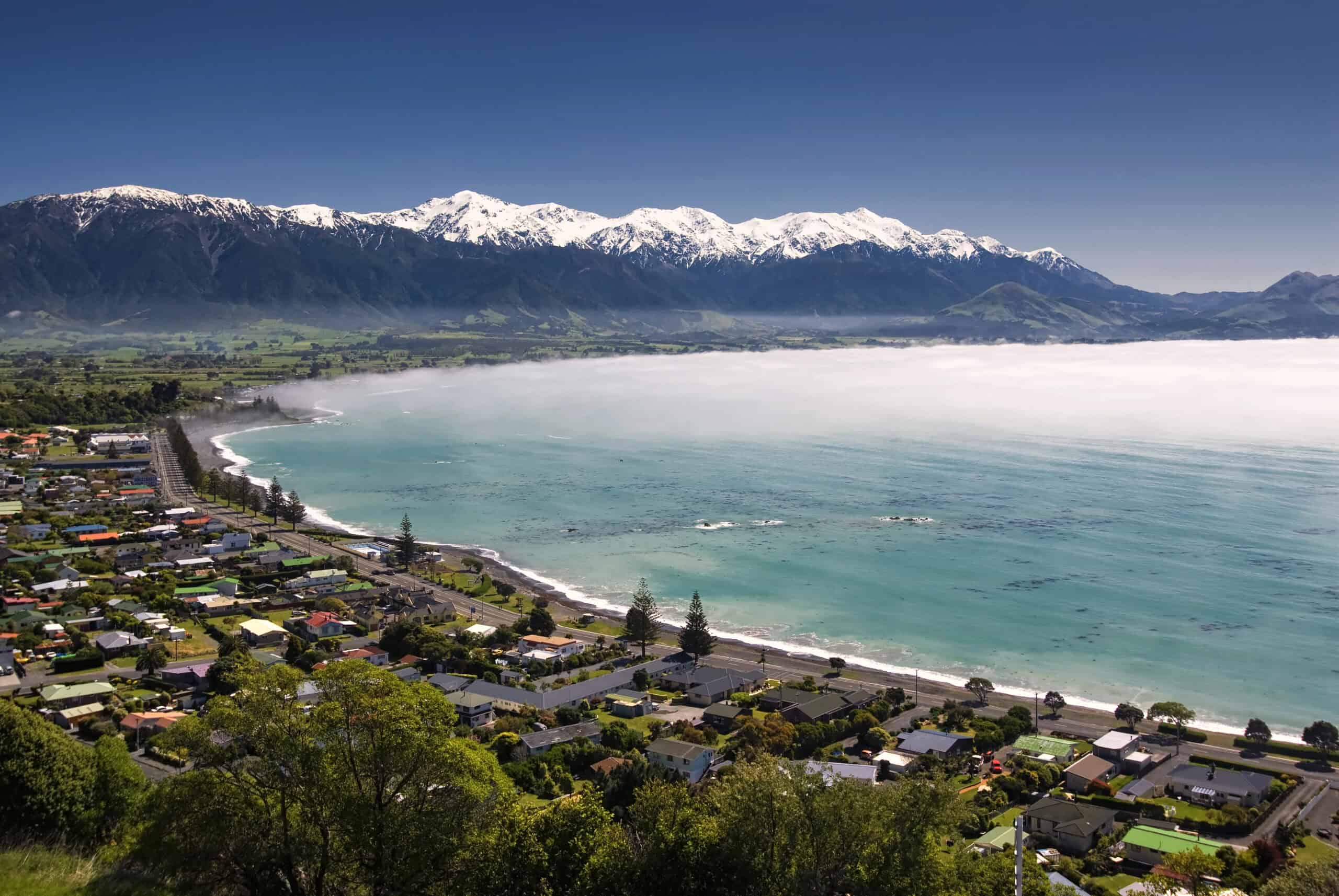 12 Places Around the World Where You Can Swim with Dolphins 3 Kaikoura, New Zealand