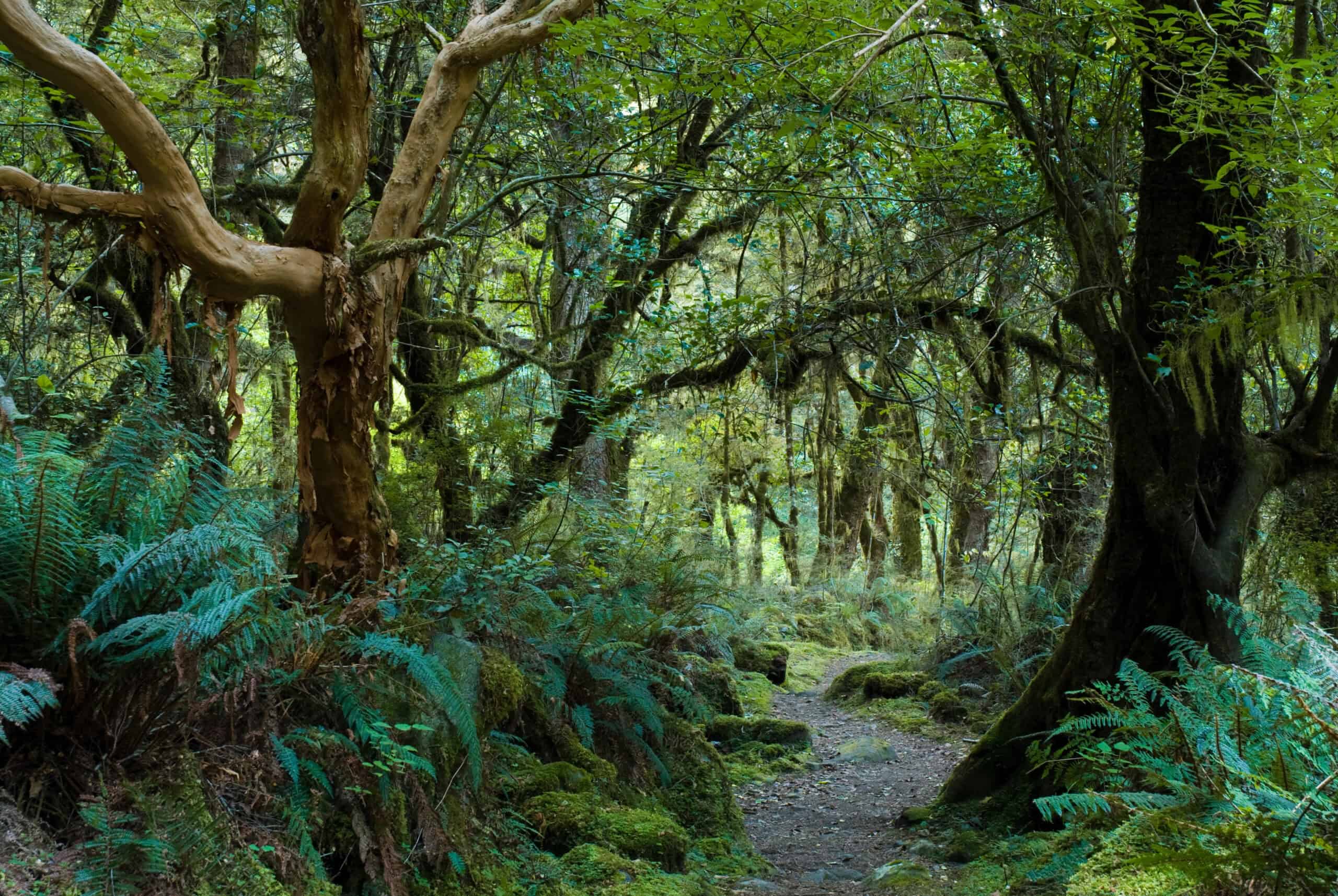 10 Best Coastal Walks in the World 8 Kepler Track, New Zealand
