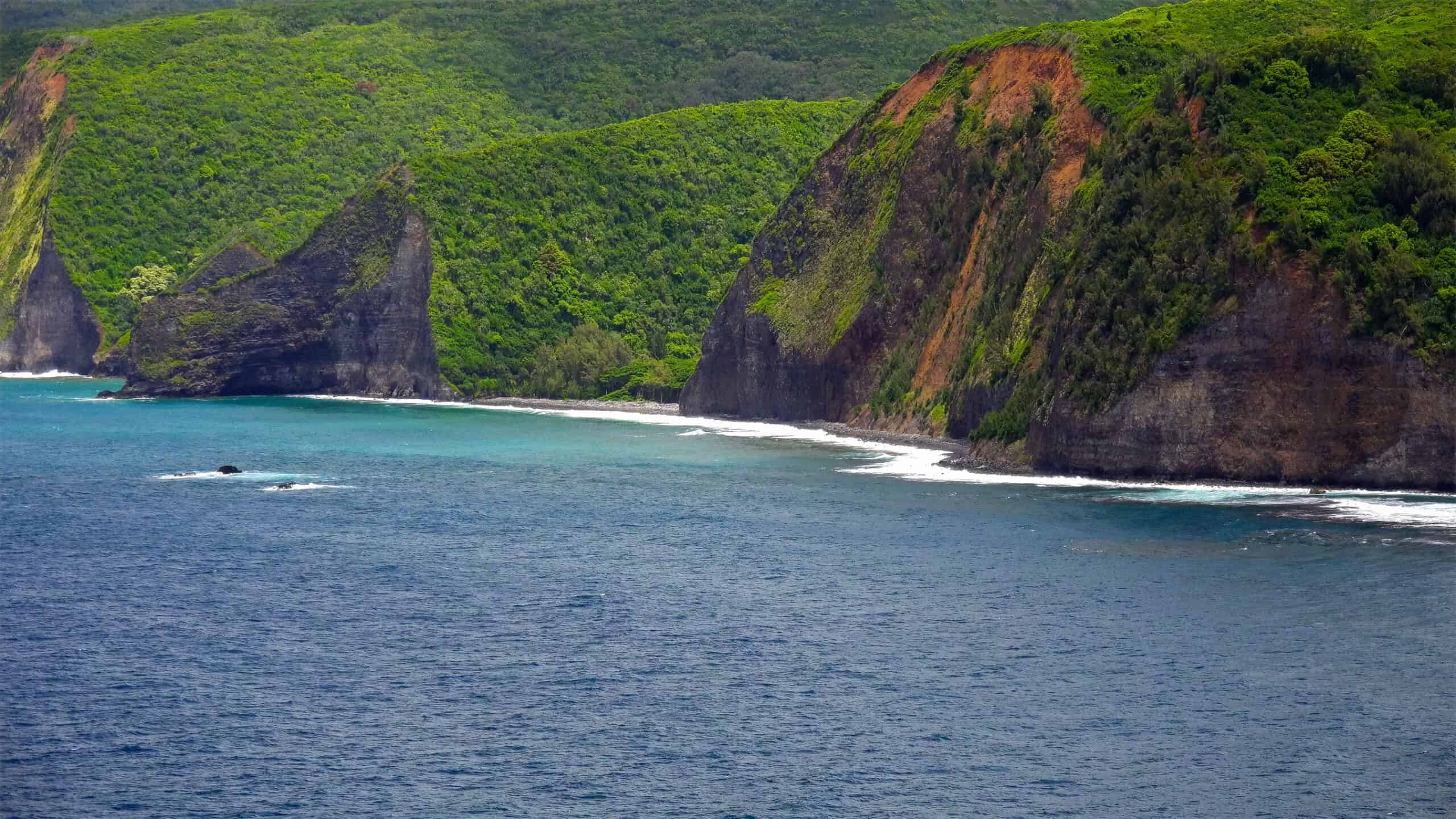 15 Most Colorful Coral Reefs to Snorkel and Dive In 7 Kona Coast, Hawaii, USA
