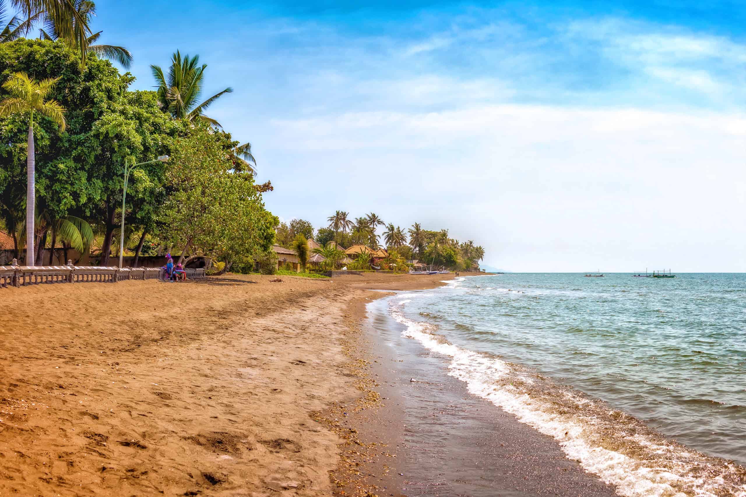 12 Places Around the World Where You Can Swim with Dolphins 7 Lovina Beach, Bali, Indonesia