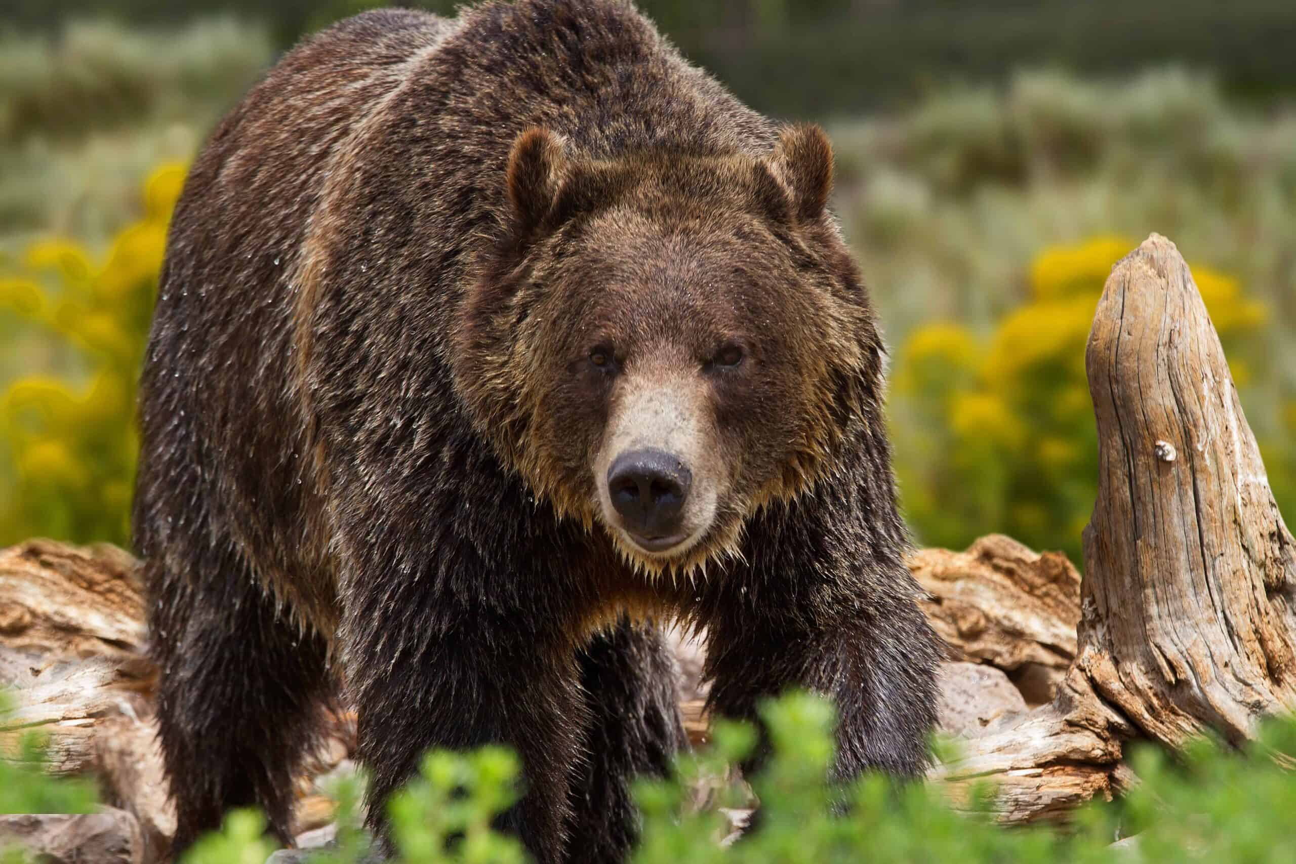 National Parks to Avoid with Young Kids