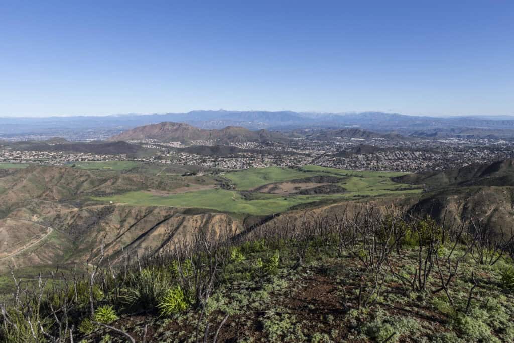Santa Rosa