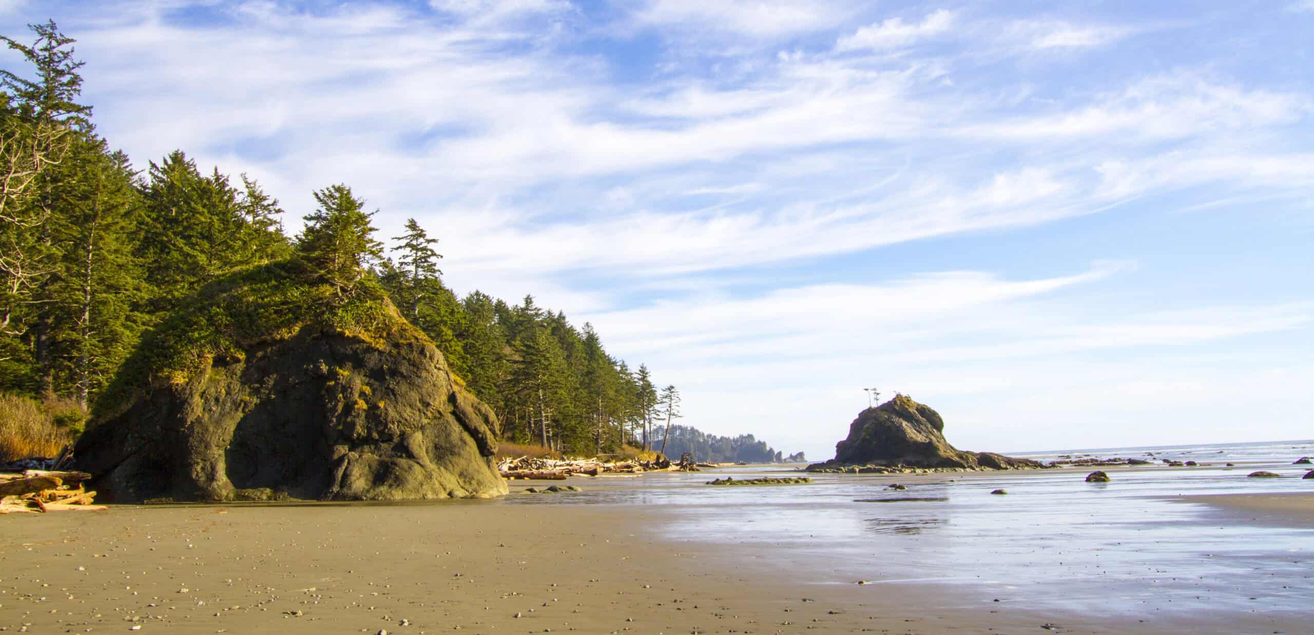 Escape the Crowds: 15 Lesser-Known U.S. Beaches Worth Visiting 15 Second Beach, Washington