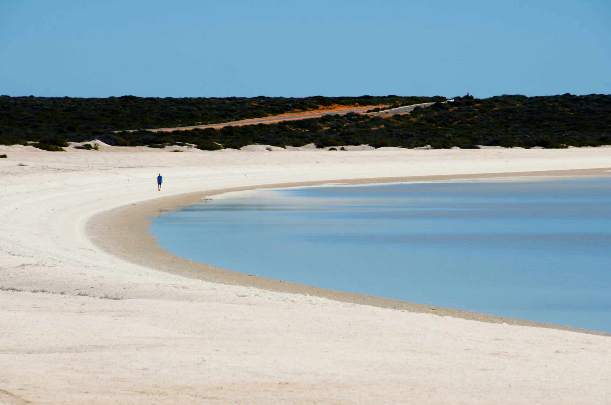 20 Hidden Beaches With the Bluest Waters You Won’t Believe Exist 14 Shell Beach, Western Australia