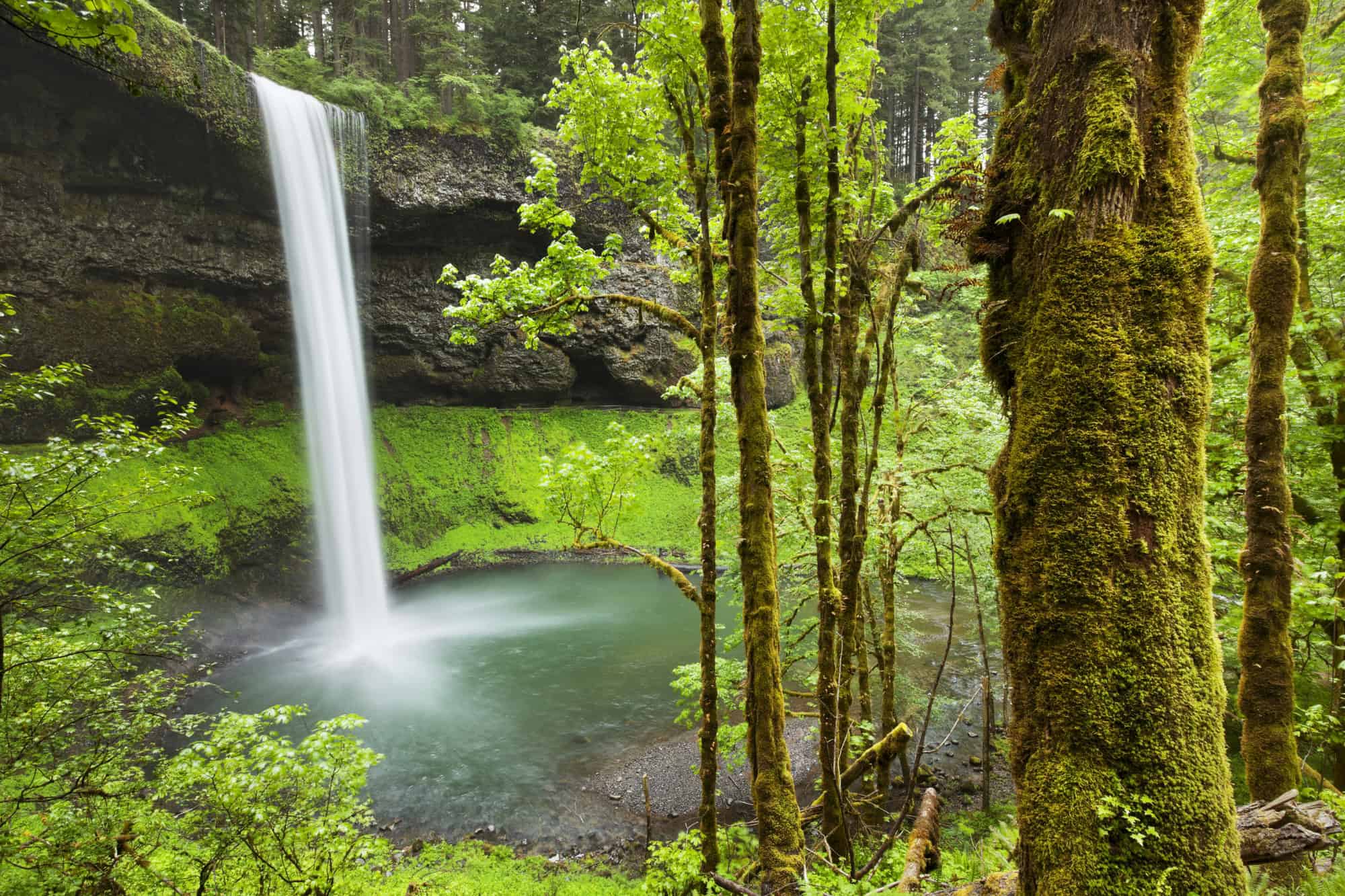 The 15 Most Stunning Waterfalls You've Never Heard Of 15 Silver Falls, Oregon, USA