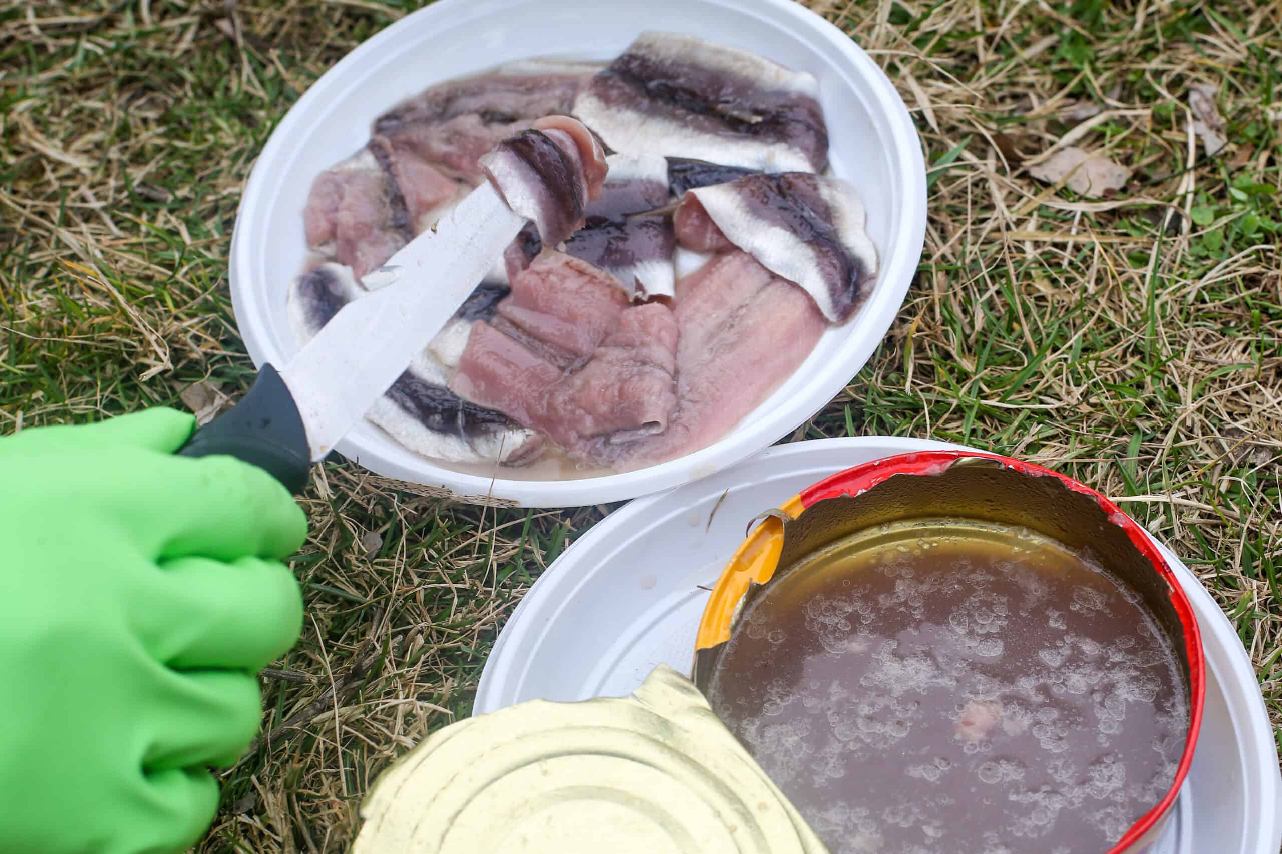 Venturing into the Unknown: 20 Bizarre Foods Around the World 4 Surströmming