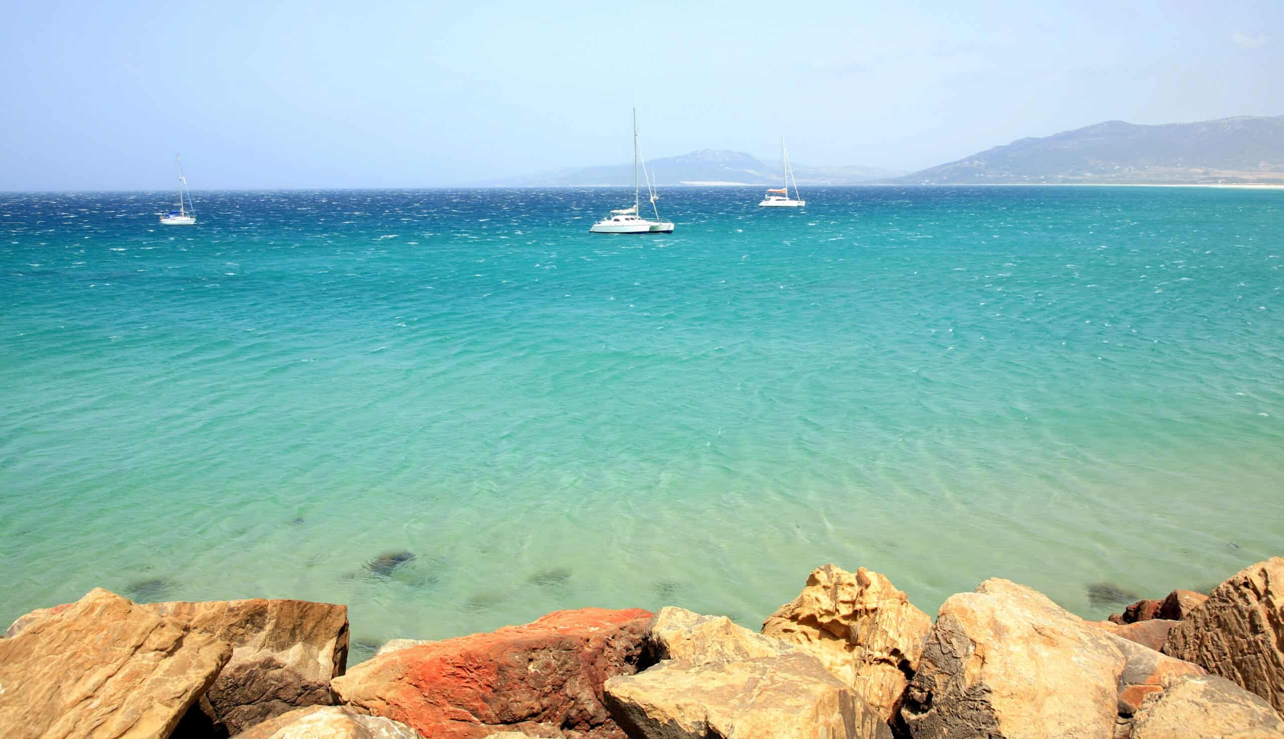 12 Places Around the World Where You Can Swim with Dolphins 10 Tarifa, Spain