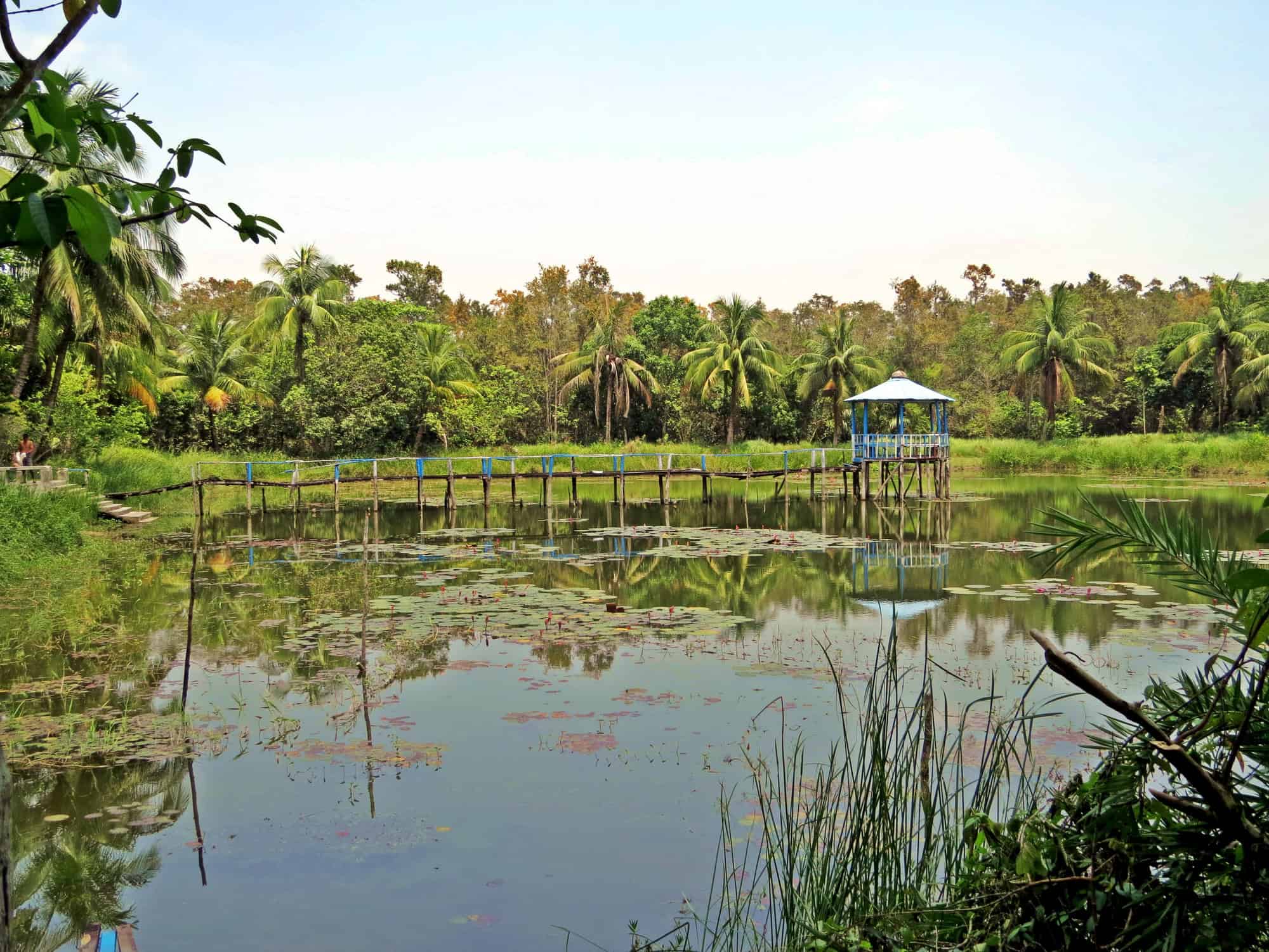 The Sundarbans, Bangladesh