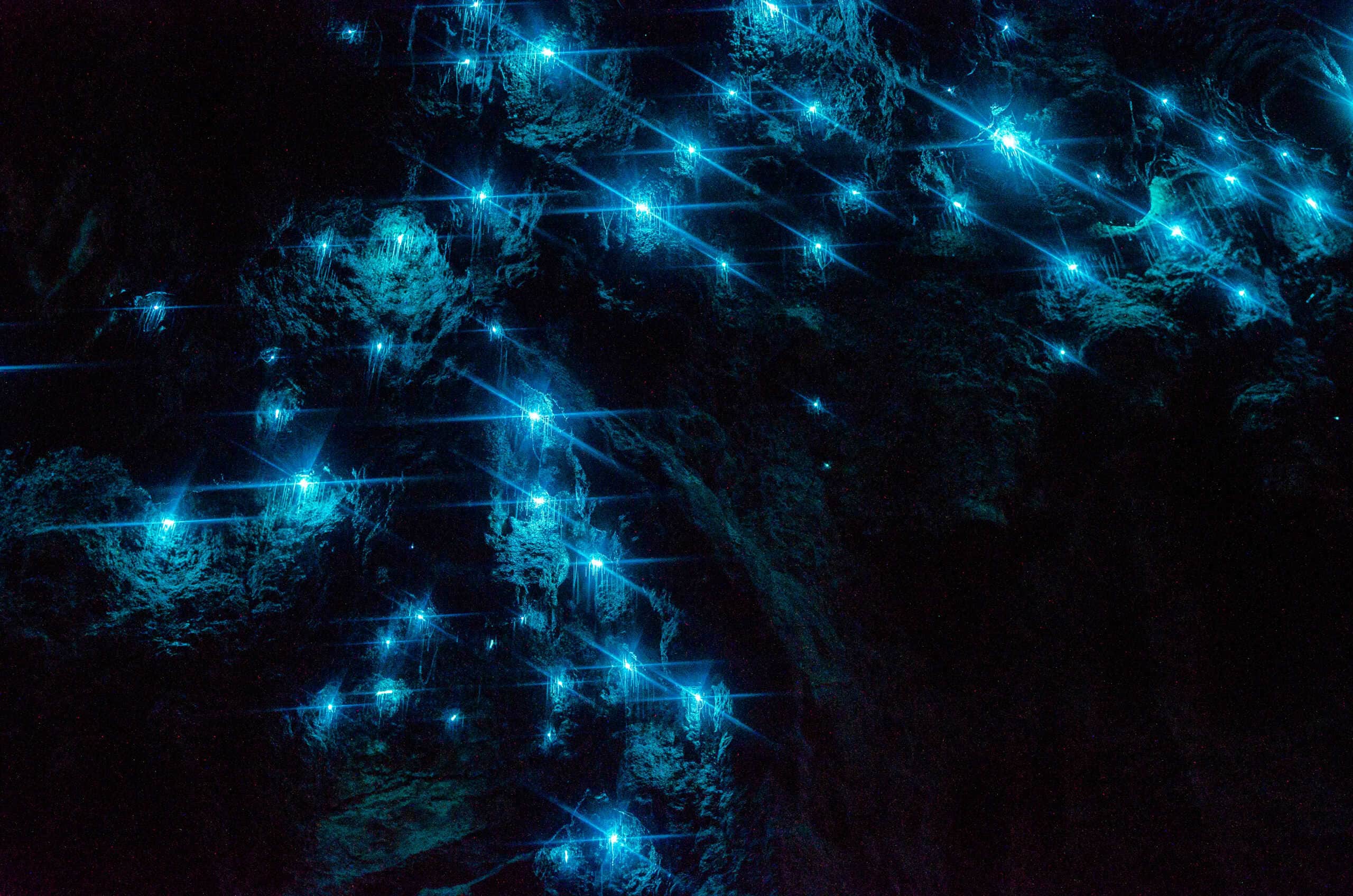 Waitomo Glowworm Caves