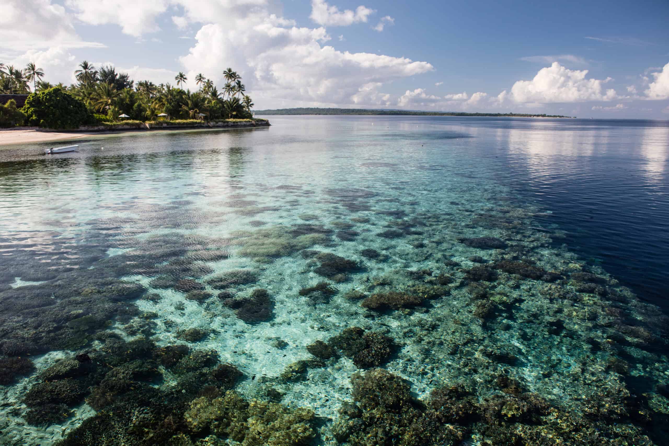 15 Most Colorful Coral Reefs to Snorkel and Dive In 14 Wakatobi National Park, Indonesia