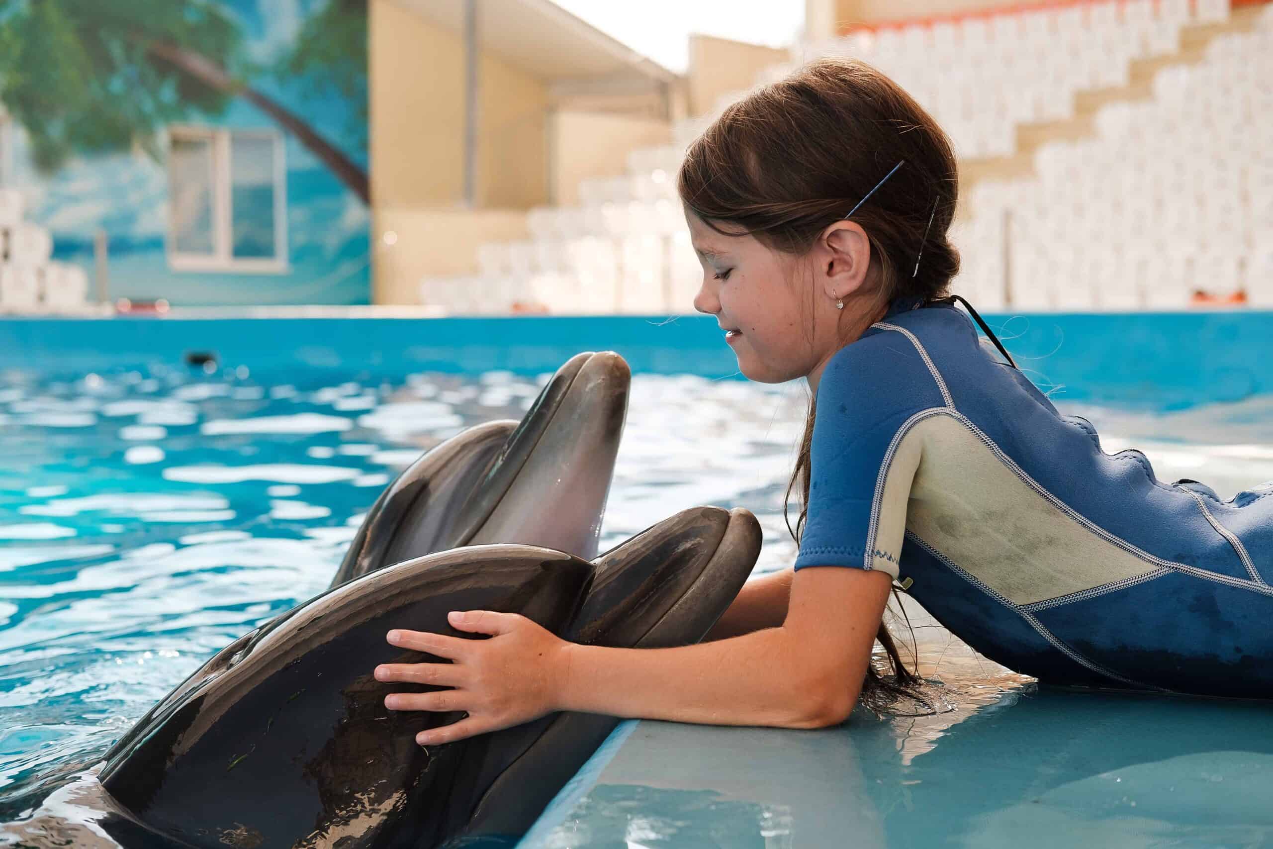 places to swim with dolphins