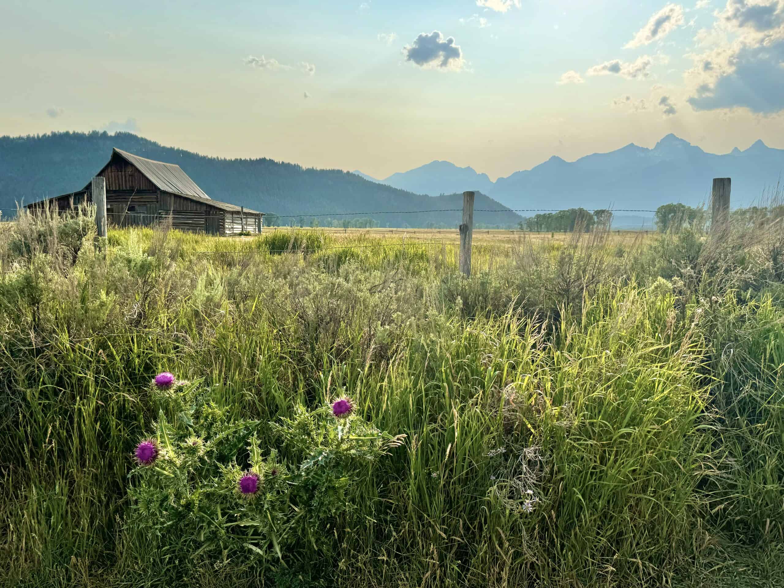 Uncover the West: 19 Iconic and Hidden Gems from Our 2024 Road Trip 13 39C86048 9E5E 4436 B909 9ACF1A376034 scaled