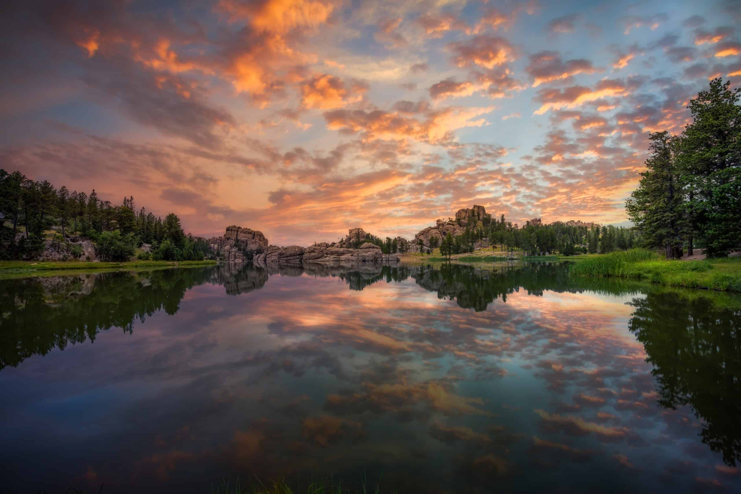 Planning for Six? Here Are 18 Family Vacation Ideas You Can't Miss 15 Custer State Park, South Dakota
