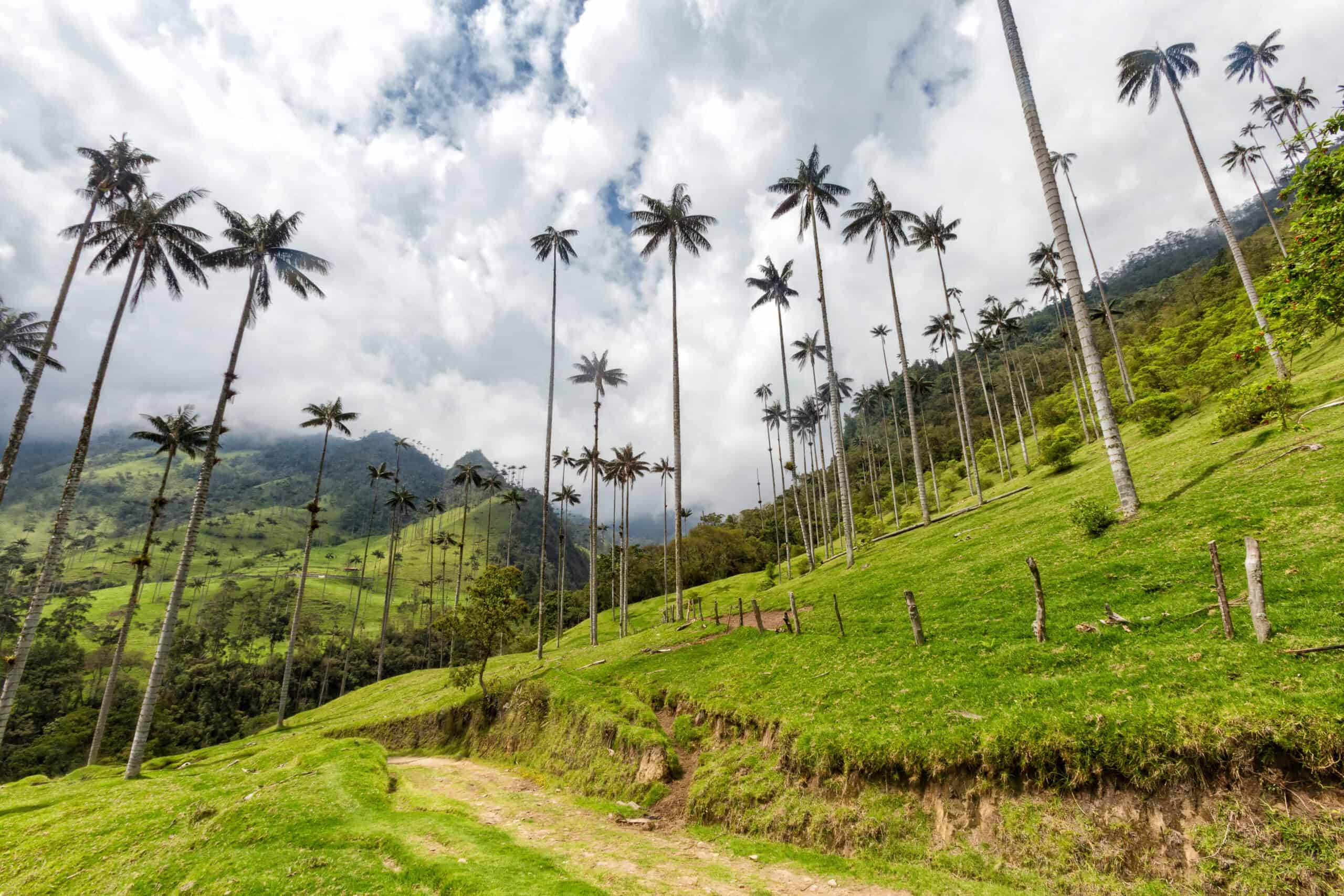 Top 15 Secret Vacation Getaways Loved by Travel Experts 6 Salento, Colombia