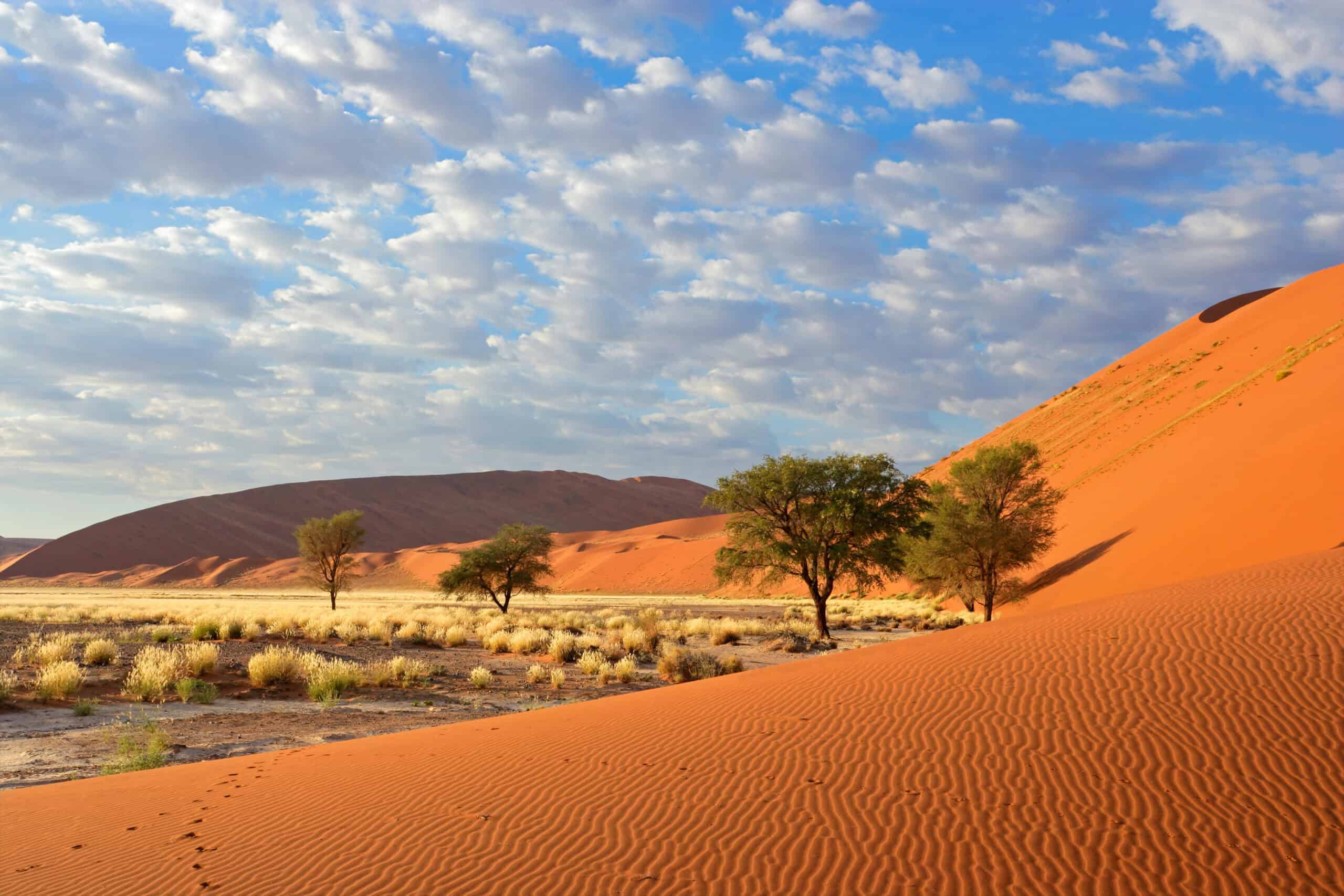18 Breathtaking Summer Vacation Ideas That Will Leave You Speechless 10 Sossusvlei, Namibia