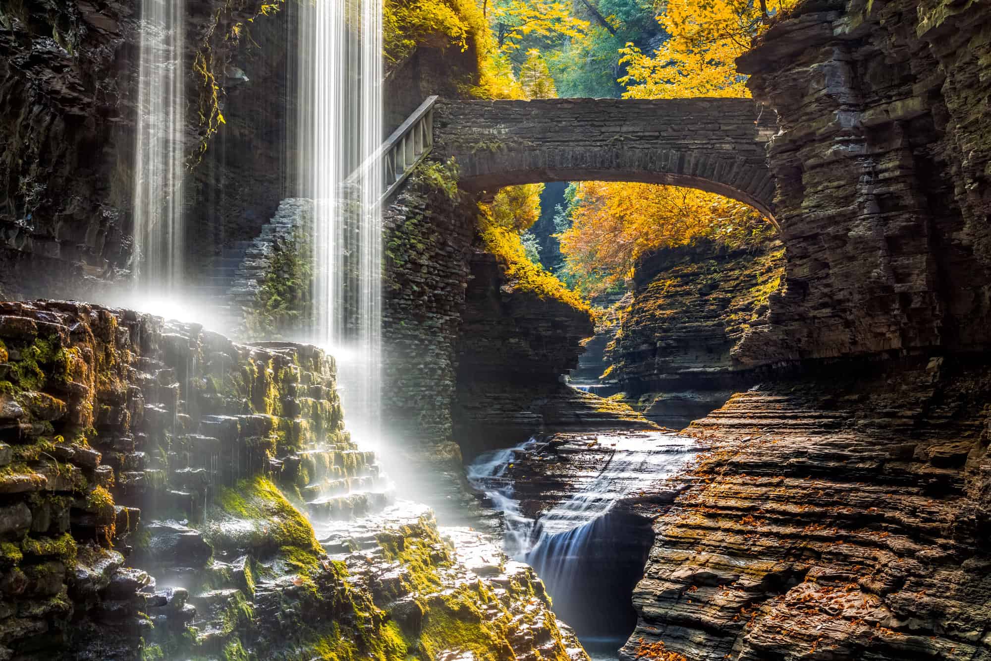 16 Heartwarming Vacation Ideas to Make Mom’s 60th Birthday Unforgettable 11 Finger Lakes, New York