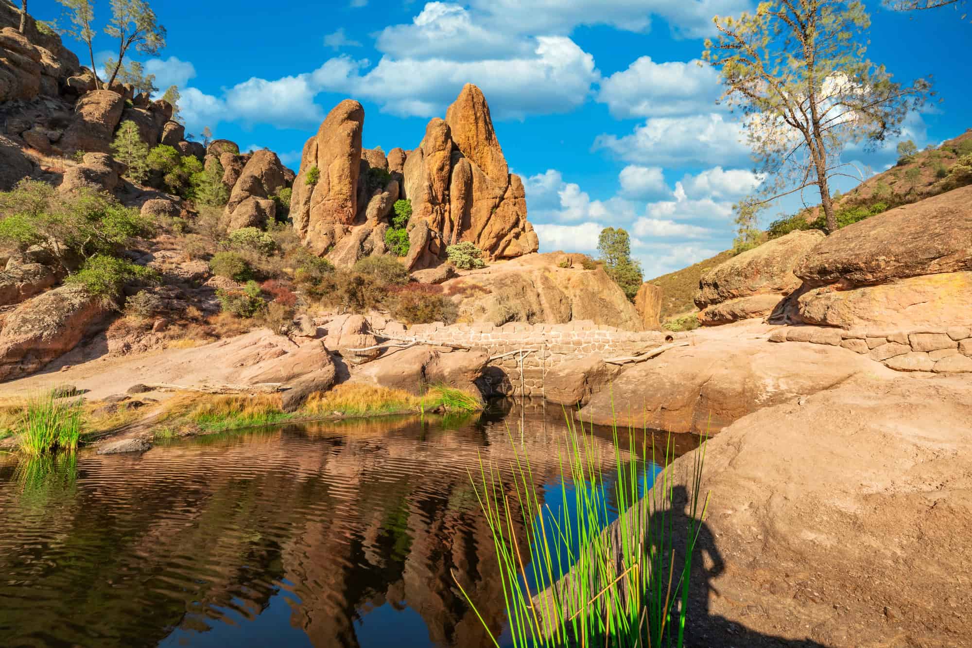 20 Spectacular National Parks Where You Won't Need Elbowroom 8 Pinnacles National Park California