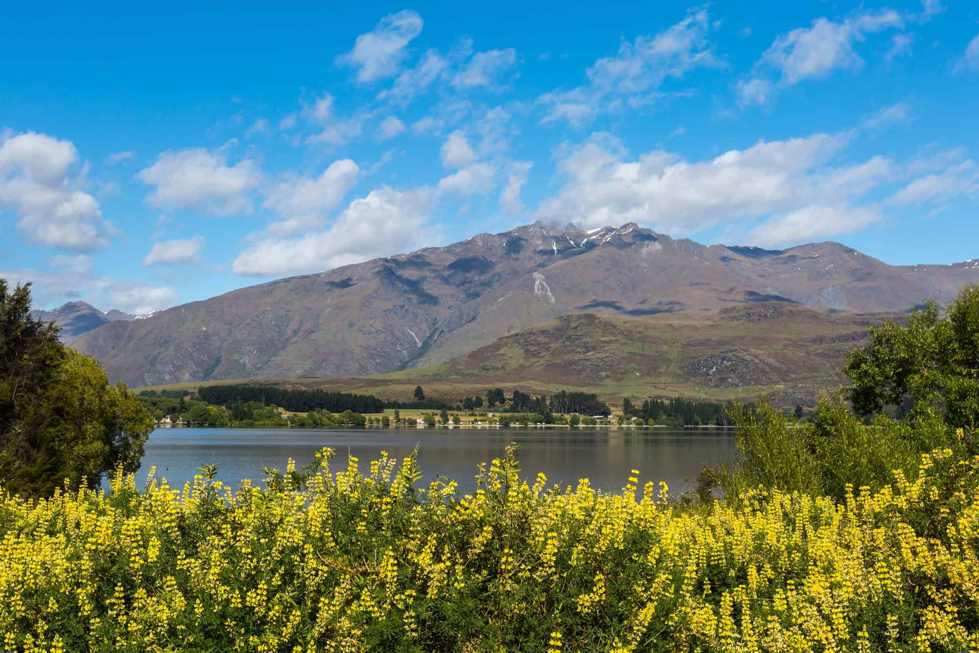 Wanaka New Zealand 1