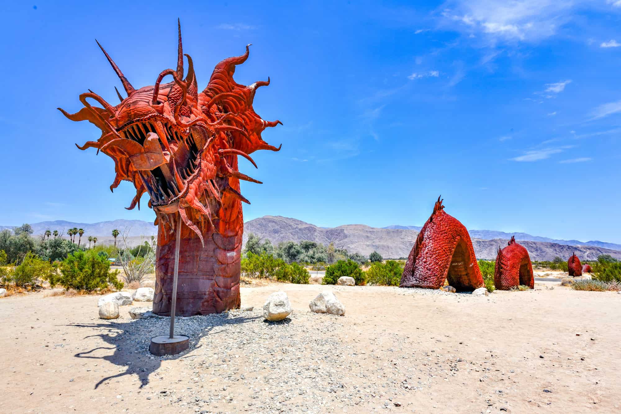 From Pink Dunes to Dancing Rocks: America's Most Surprising Desert Escapes 8 Borrego Spring