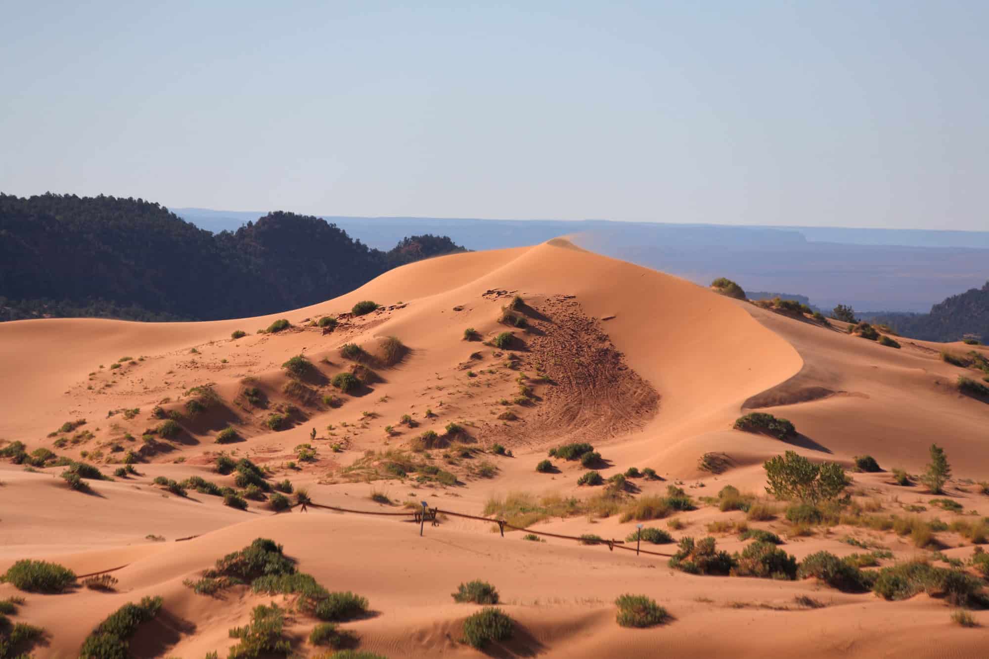 From Pink Dunes to Dancing Rocks: America's Most Surprising Desert Escapes 5 Coral Pink Sand Dunes