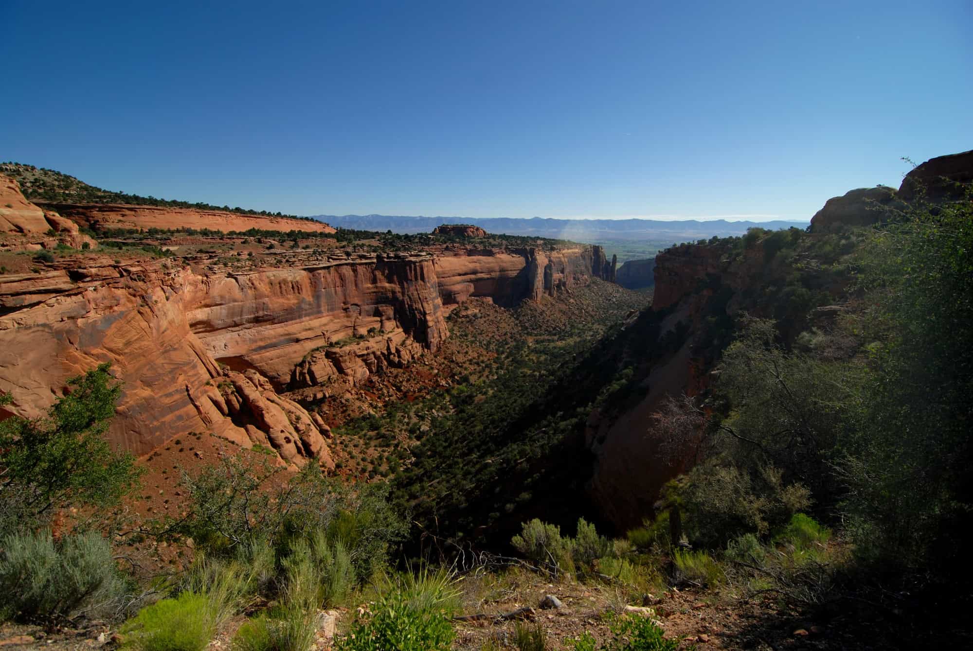 Forget Coachella: These Quirky Small-Town Festivals Are America's Best Party Secret 6 Fruita CO
