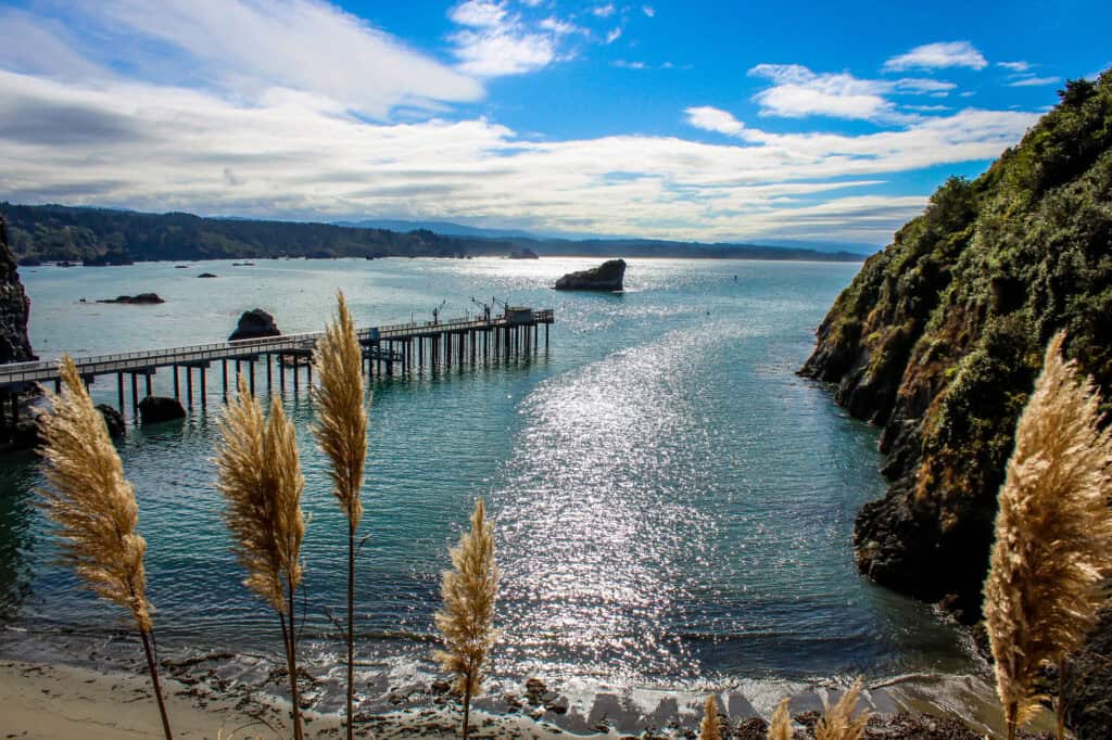 Trinidad California