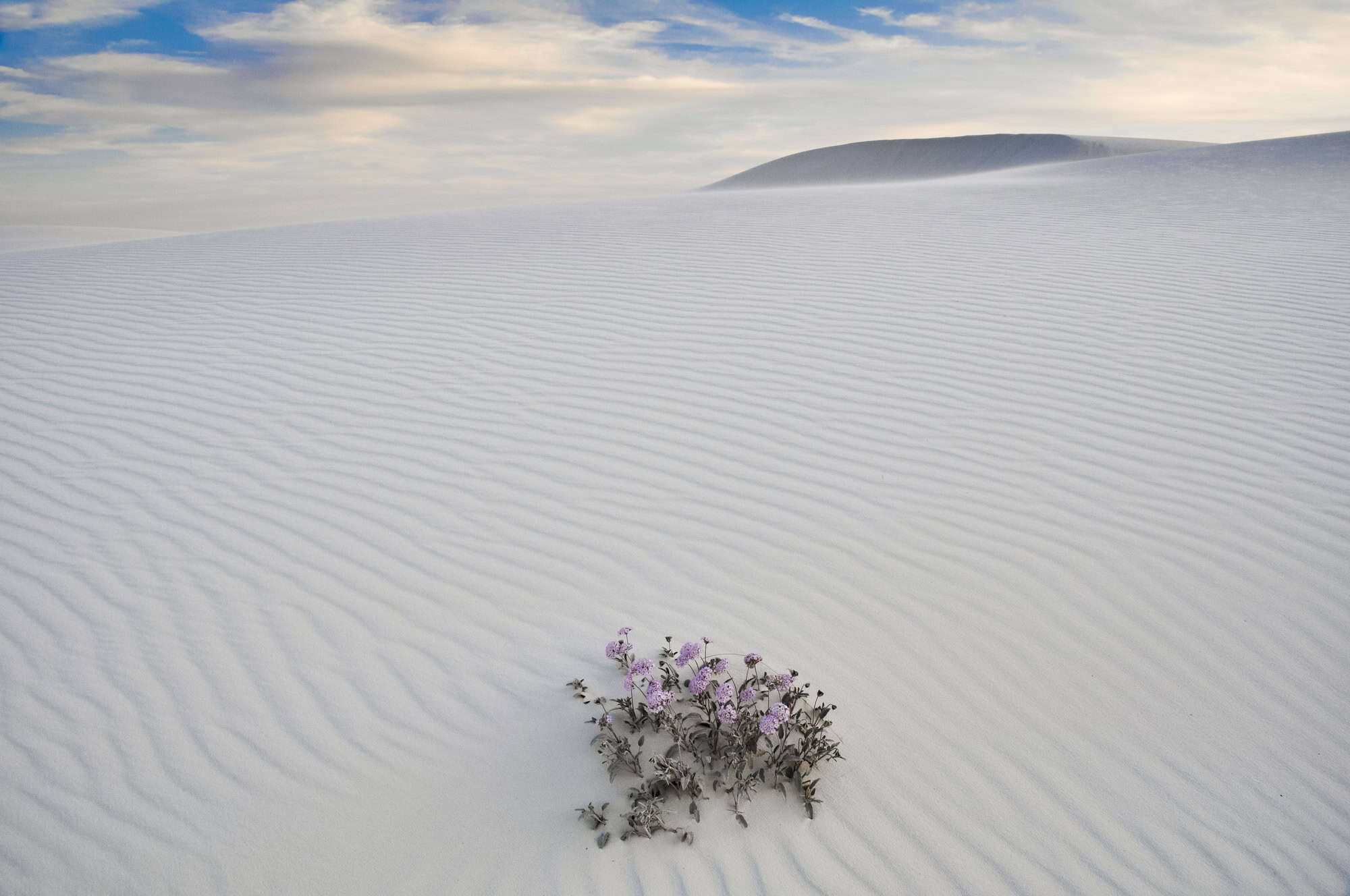 Nature's Best-Kept Secrets: 15 National Monuments That'll Leave You Speechless 9 White Sands New