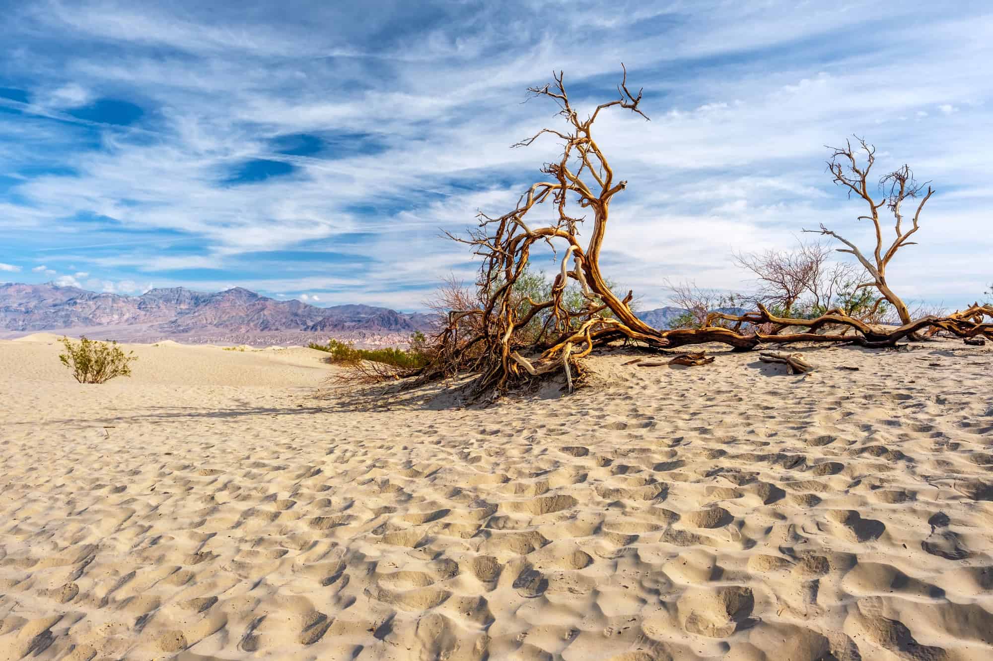 Skip Space Tourism - These 10 U.S. Destinations Are Already Out Of This World 5 Death Valley National Park