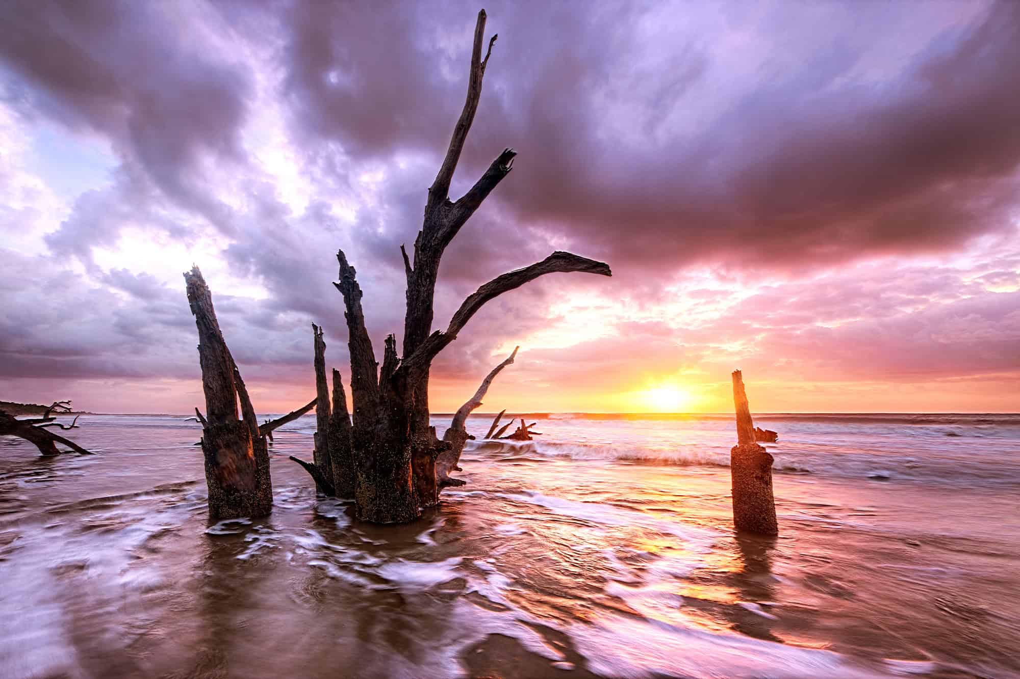 Sapelo Island Georgia